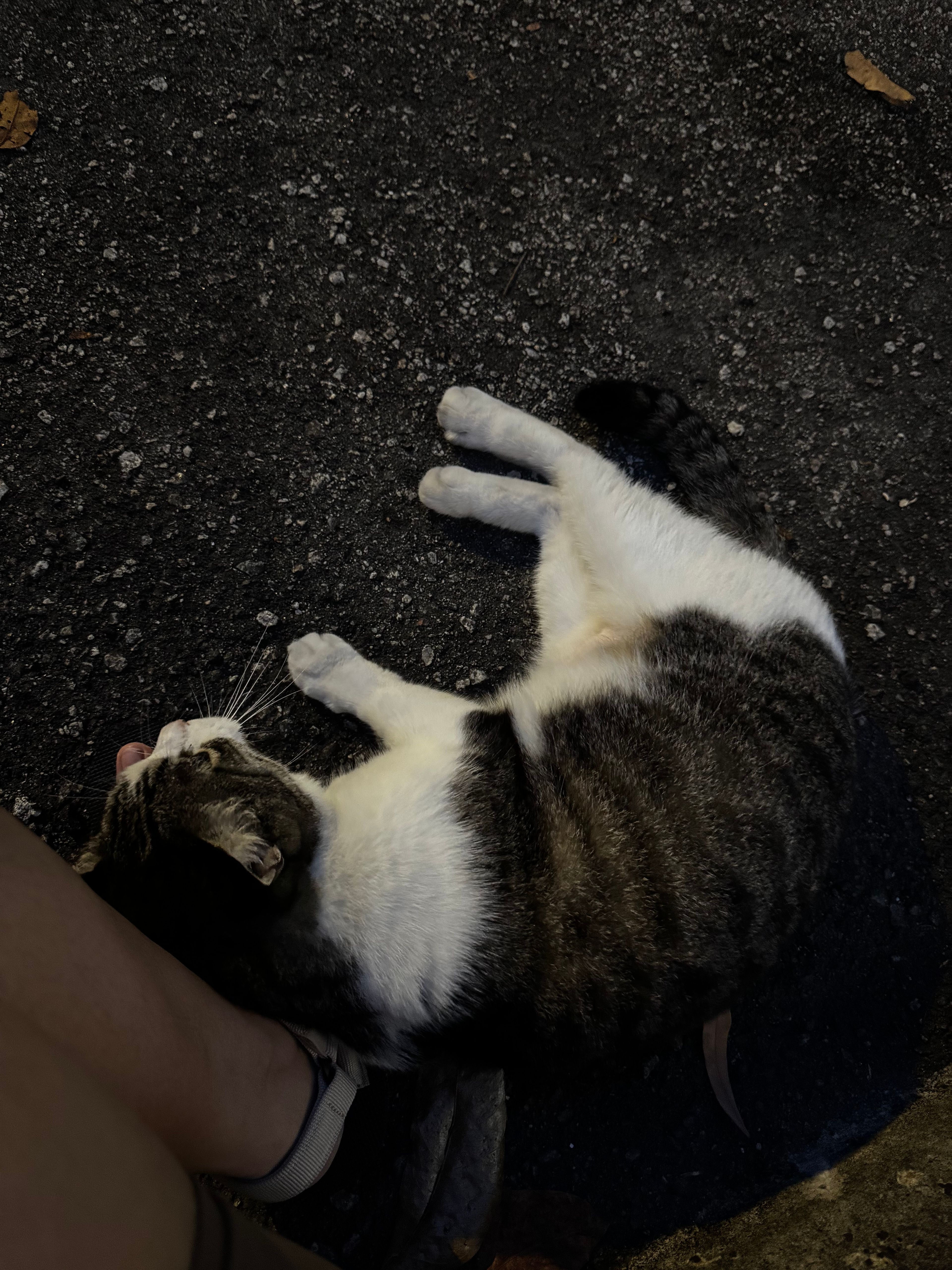 image-6
