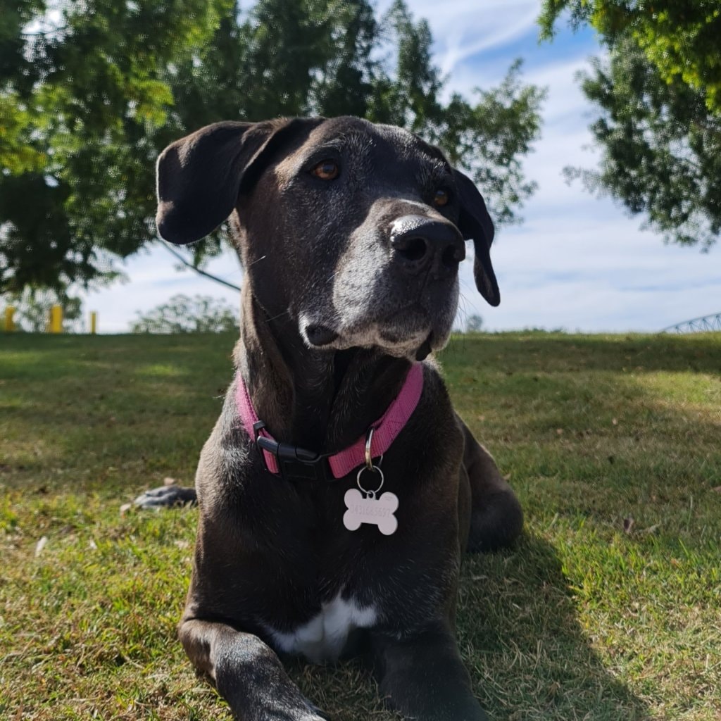 Ruby