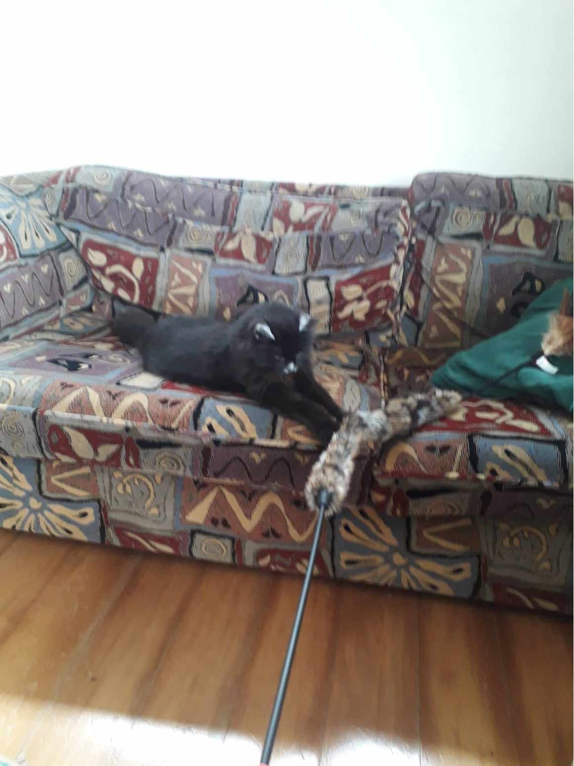 image-5