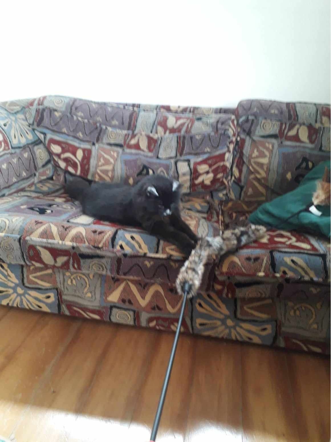 image-5