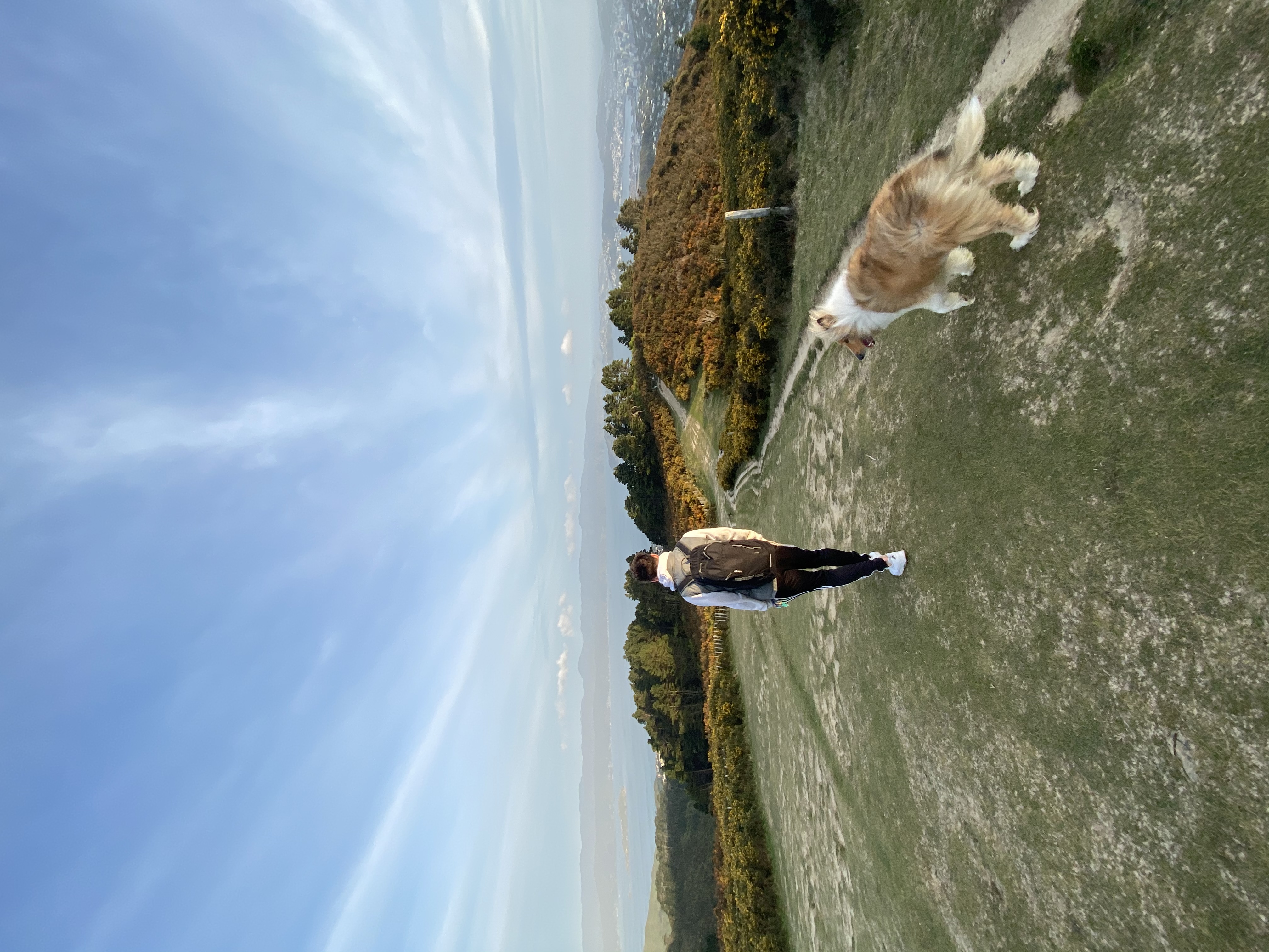 image-7