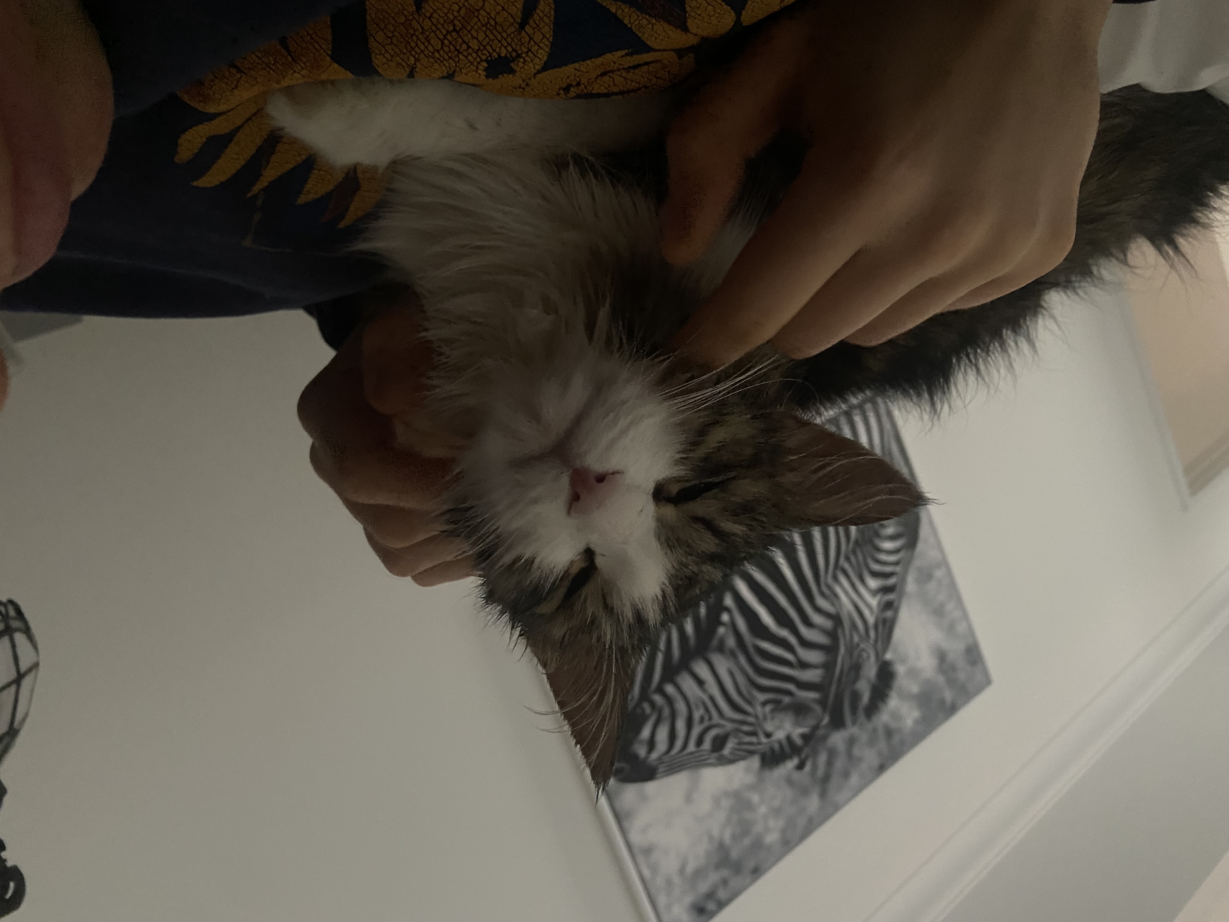 image-9