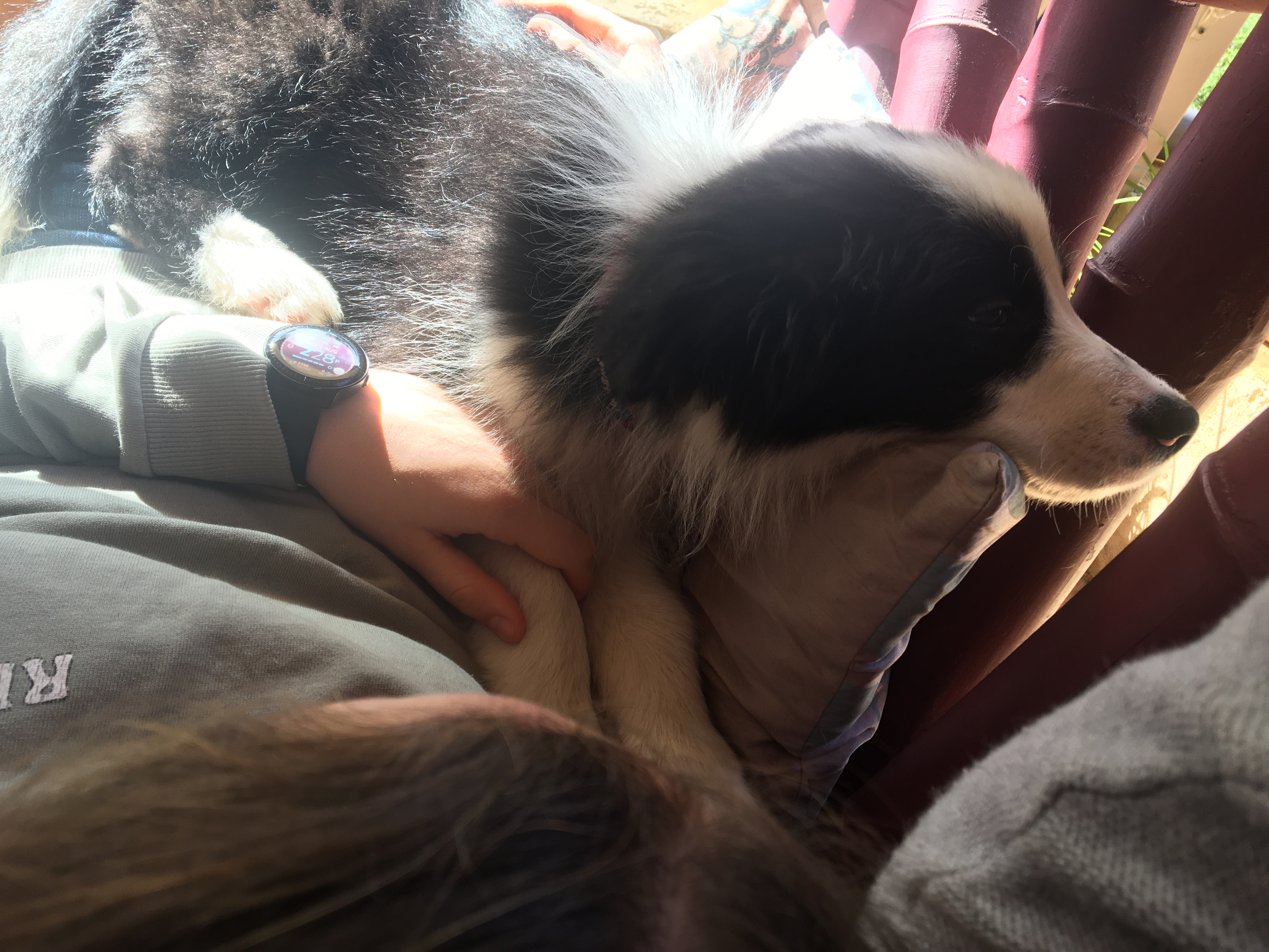 image-7