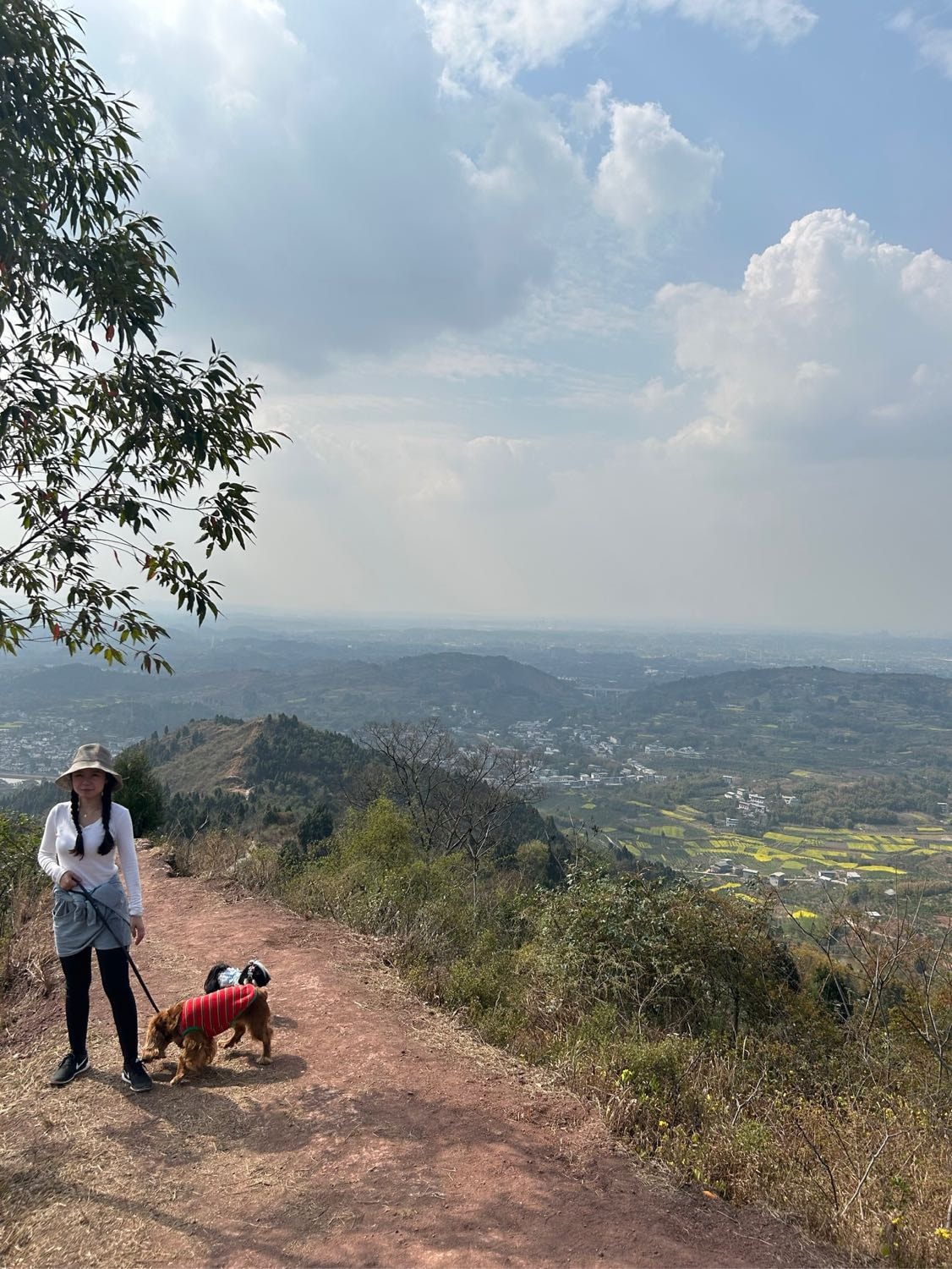 image-12