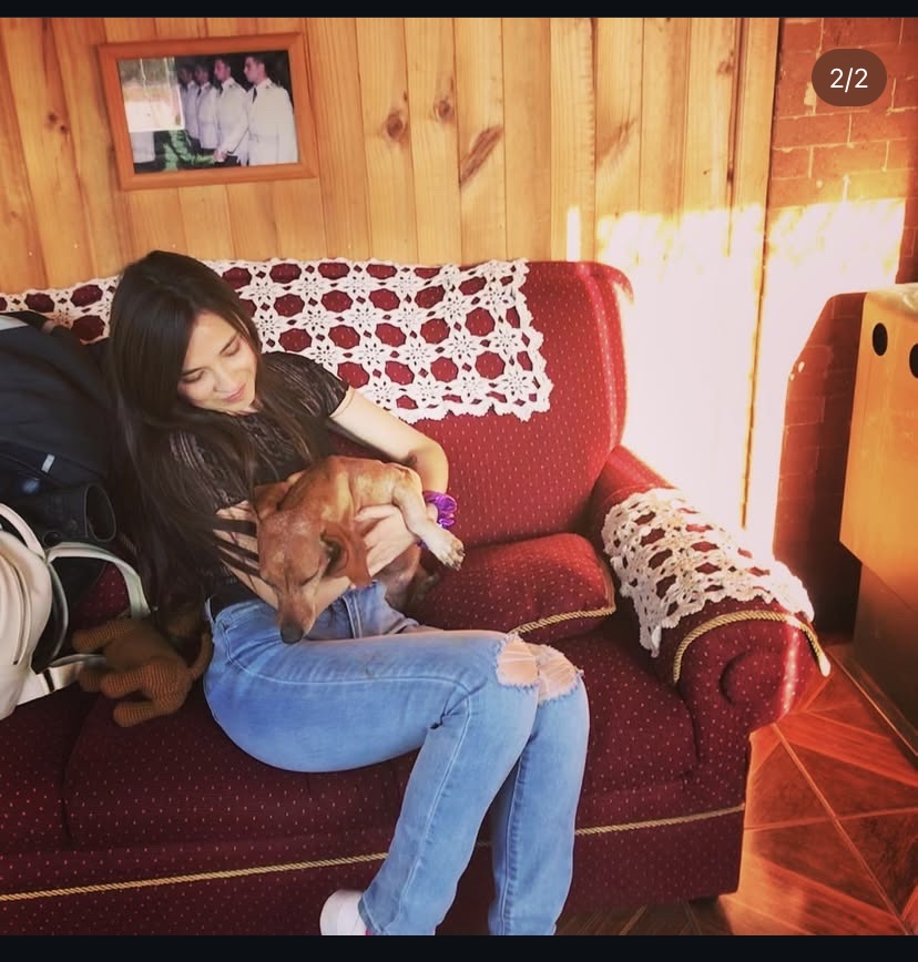 image-7