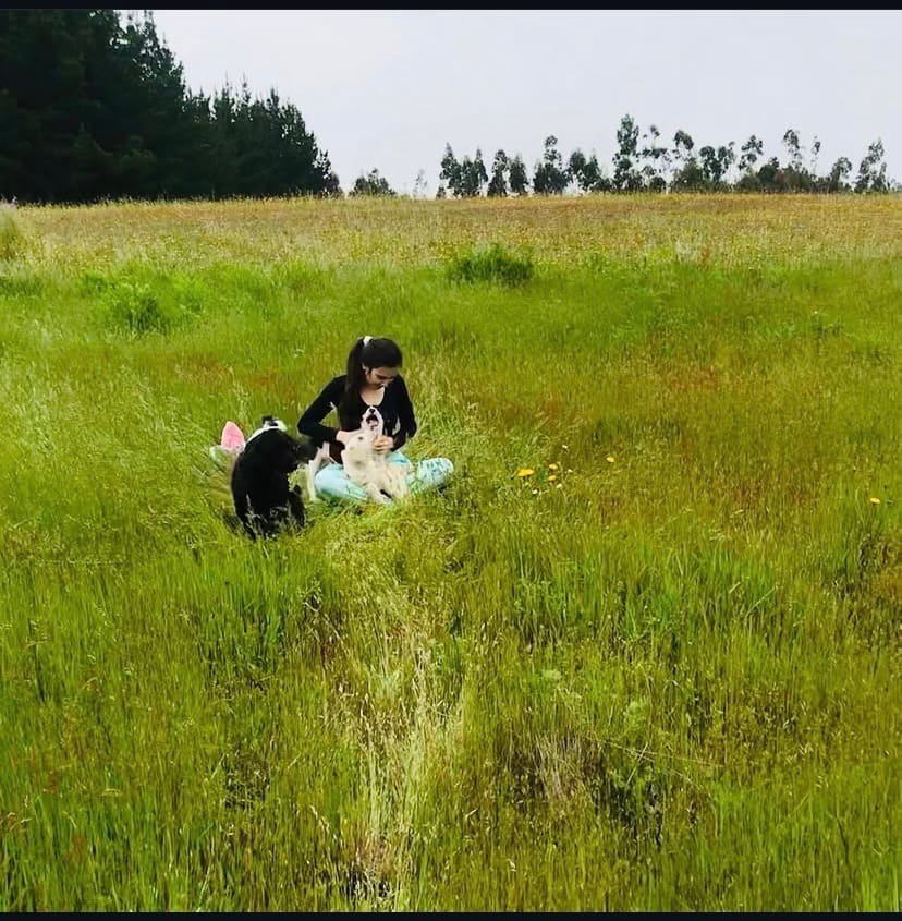 image-5