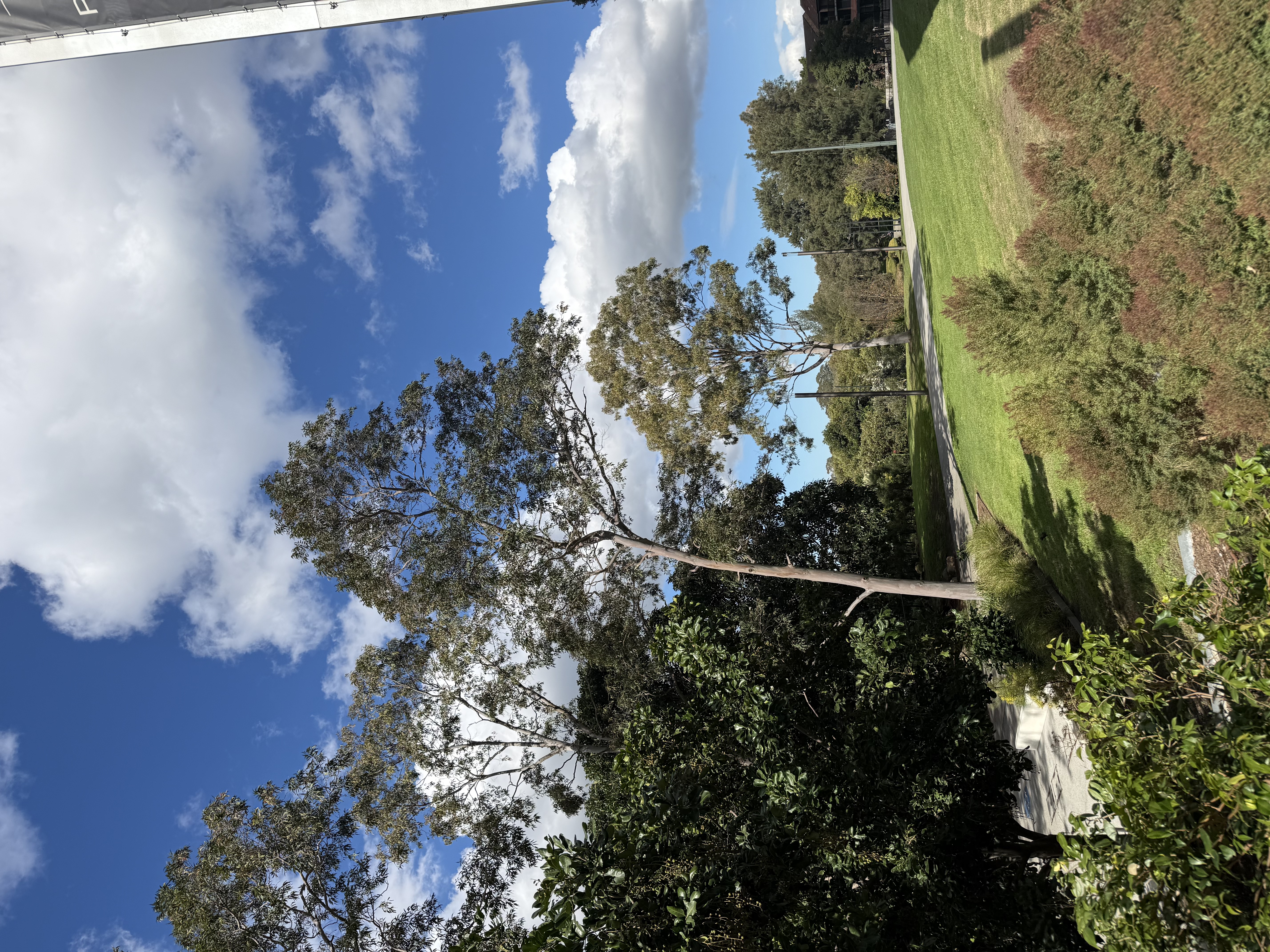 image-14