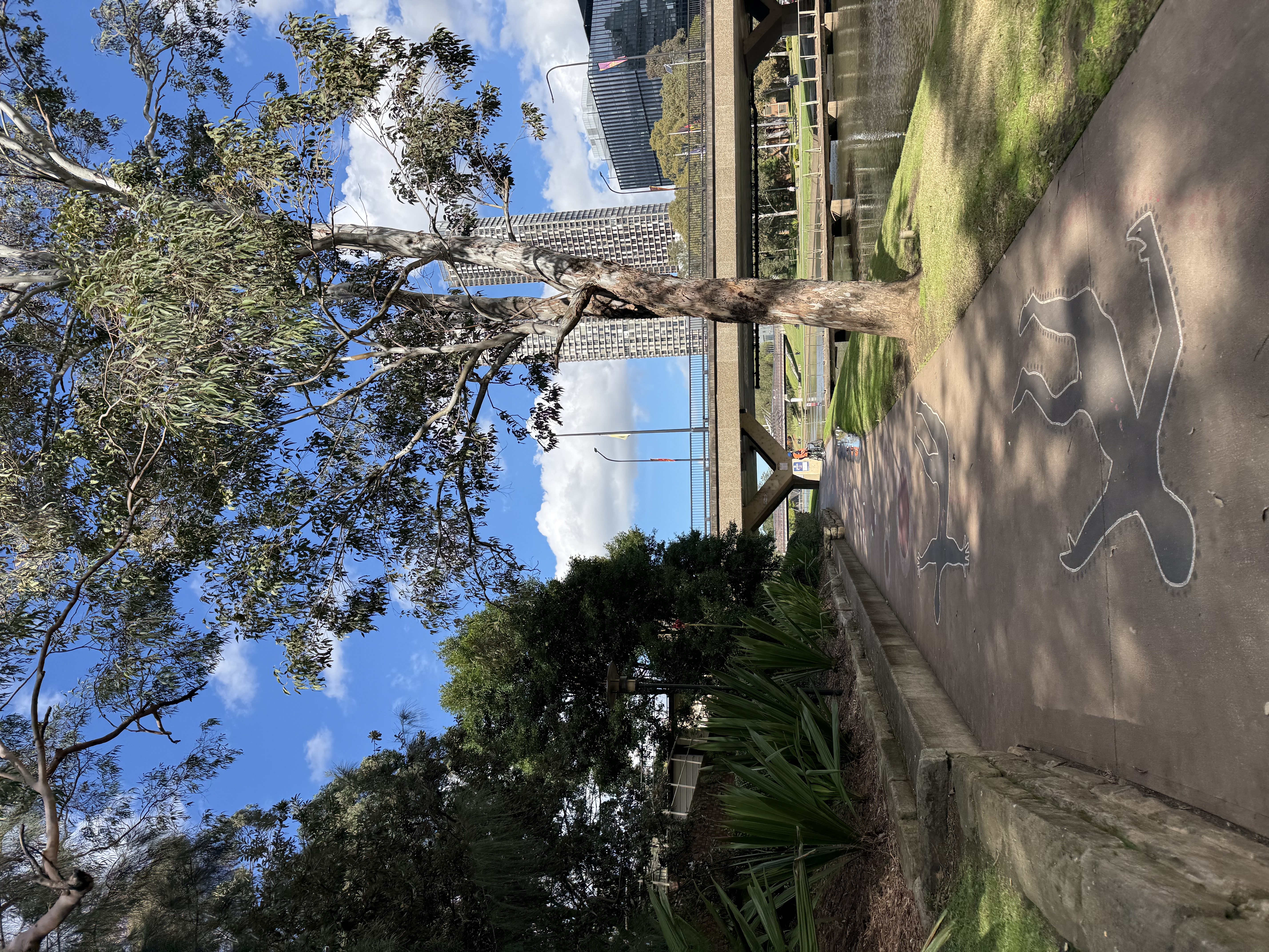 image-15