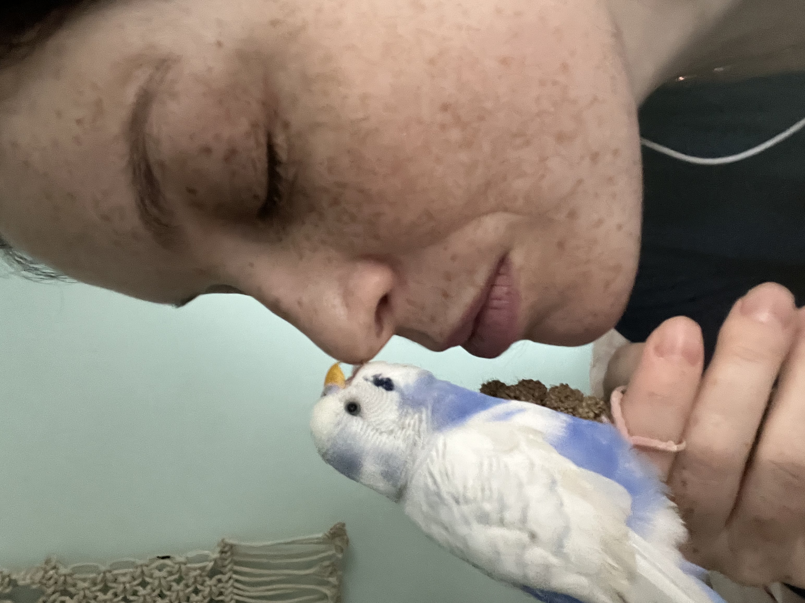 image-6