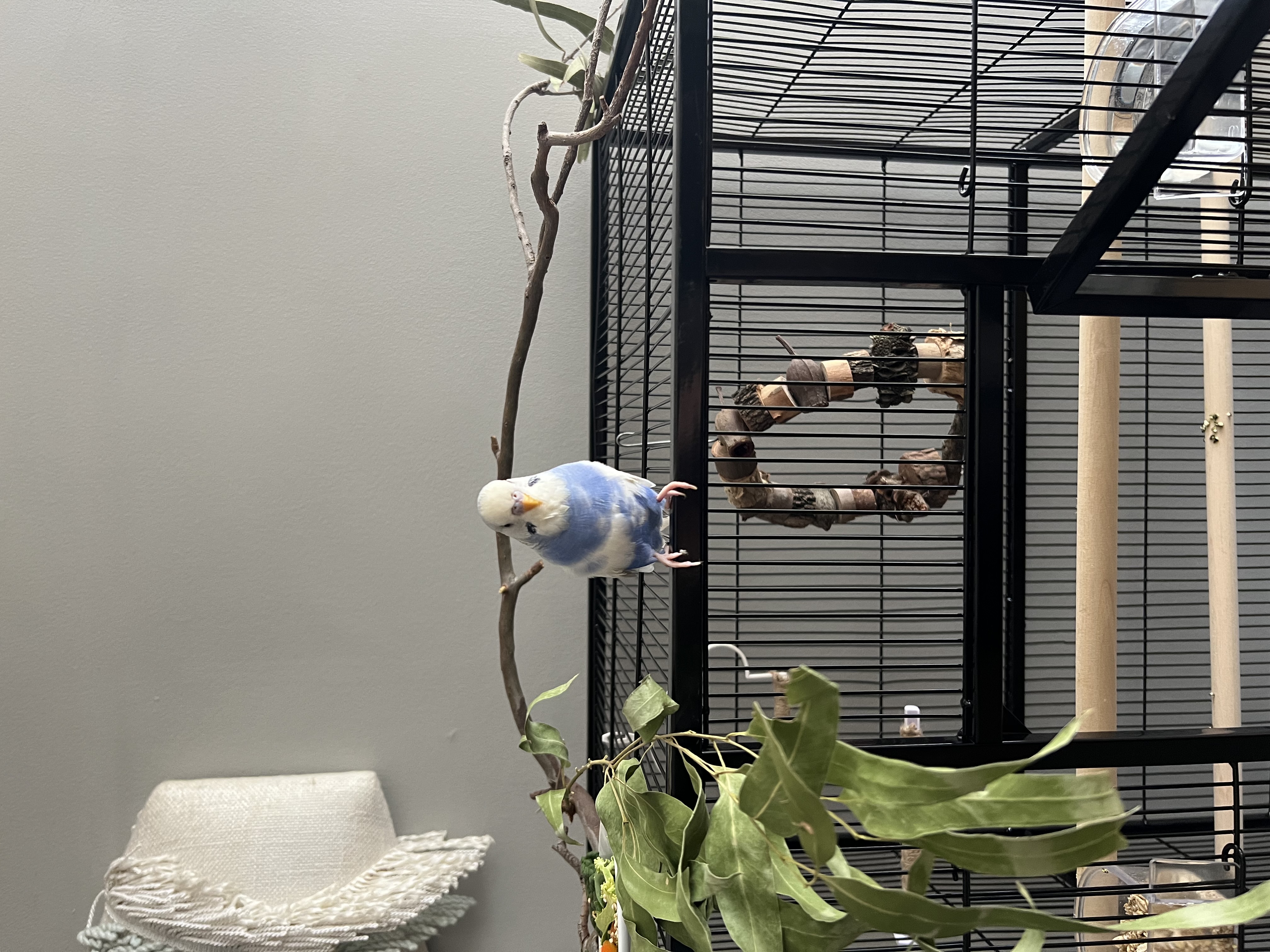 image-7