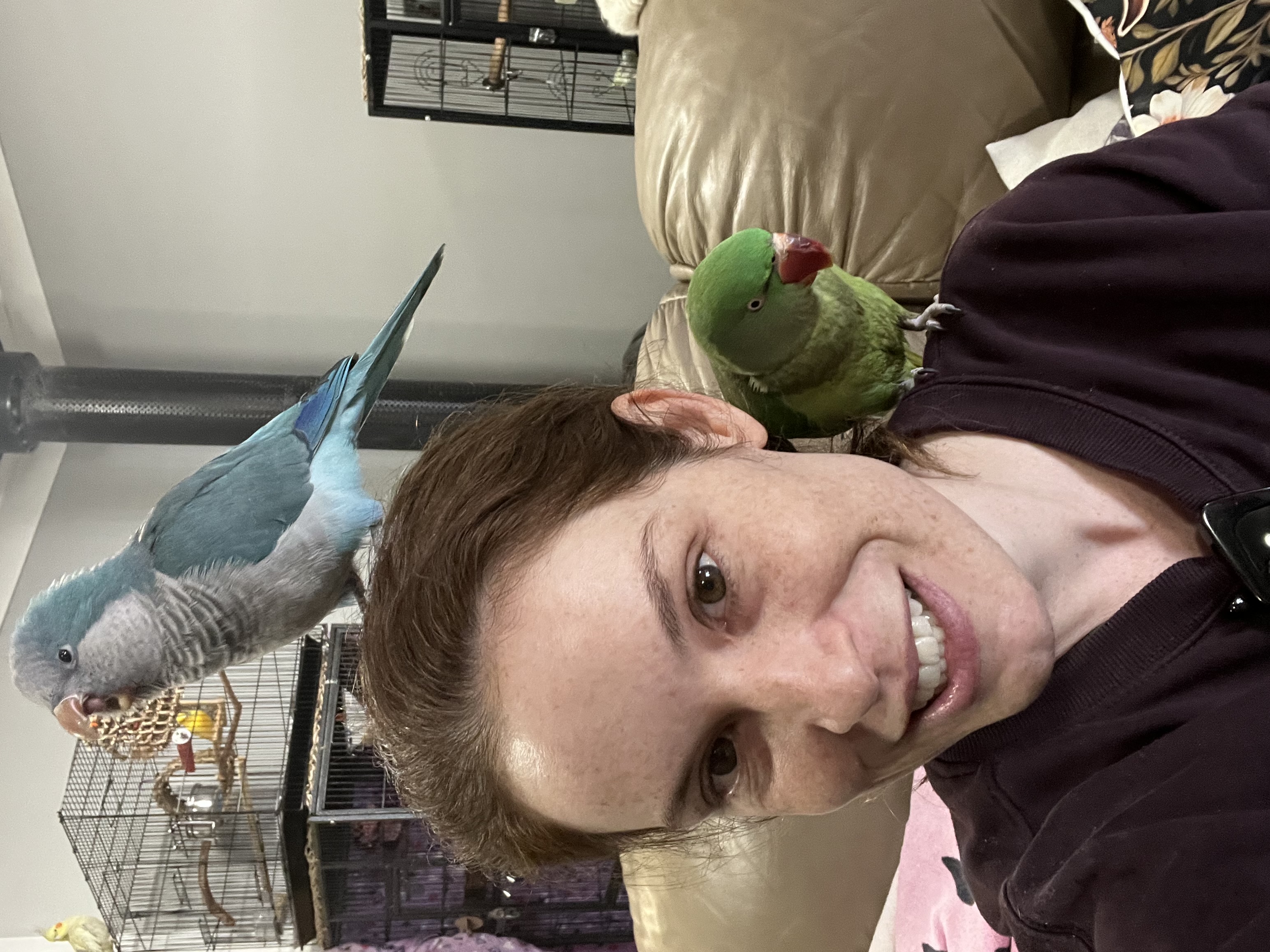 image-8