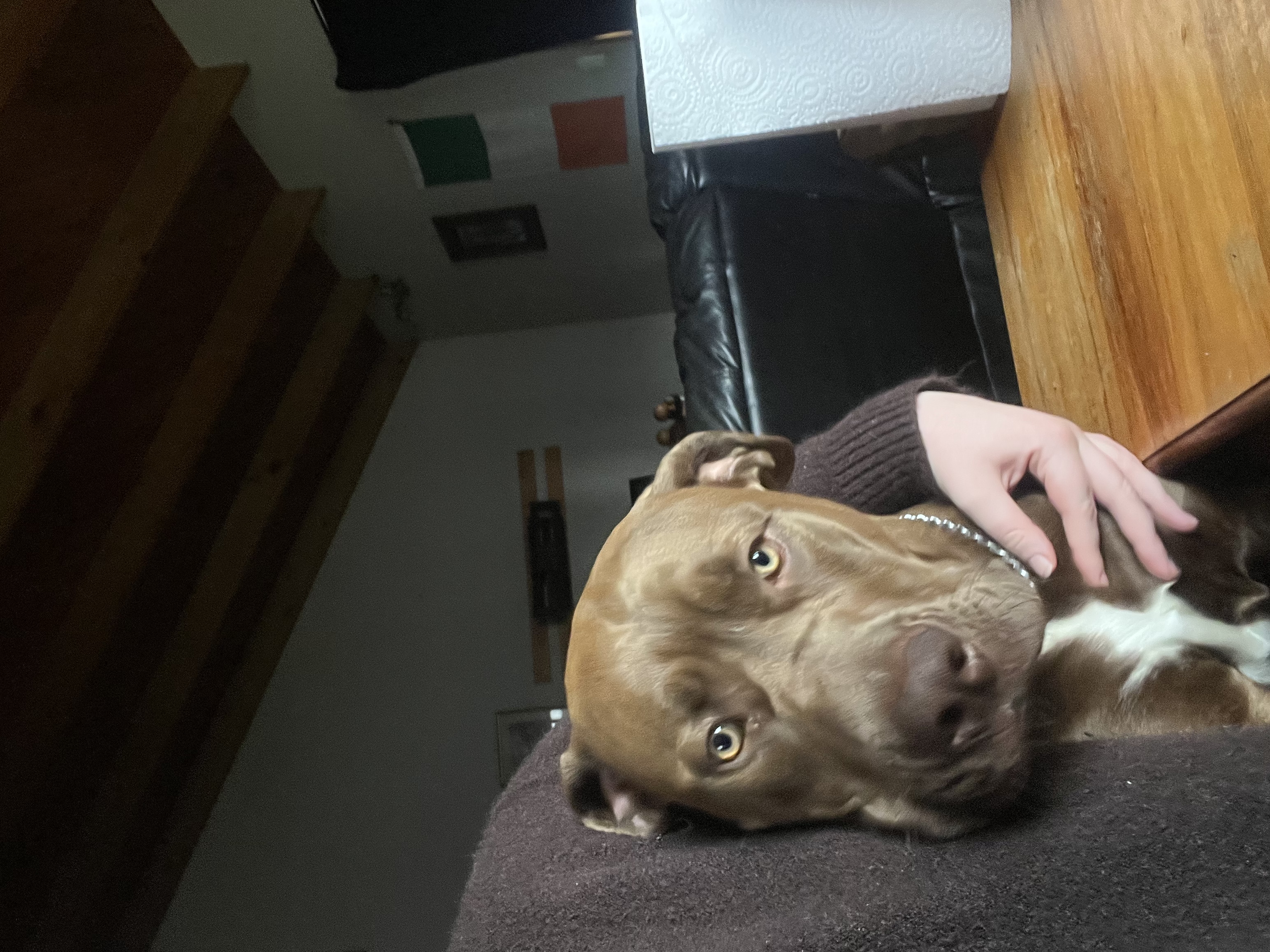 image-5