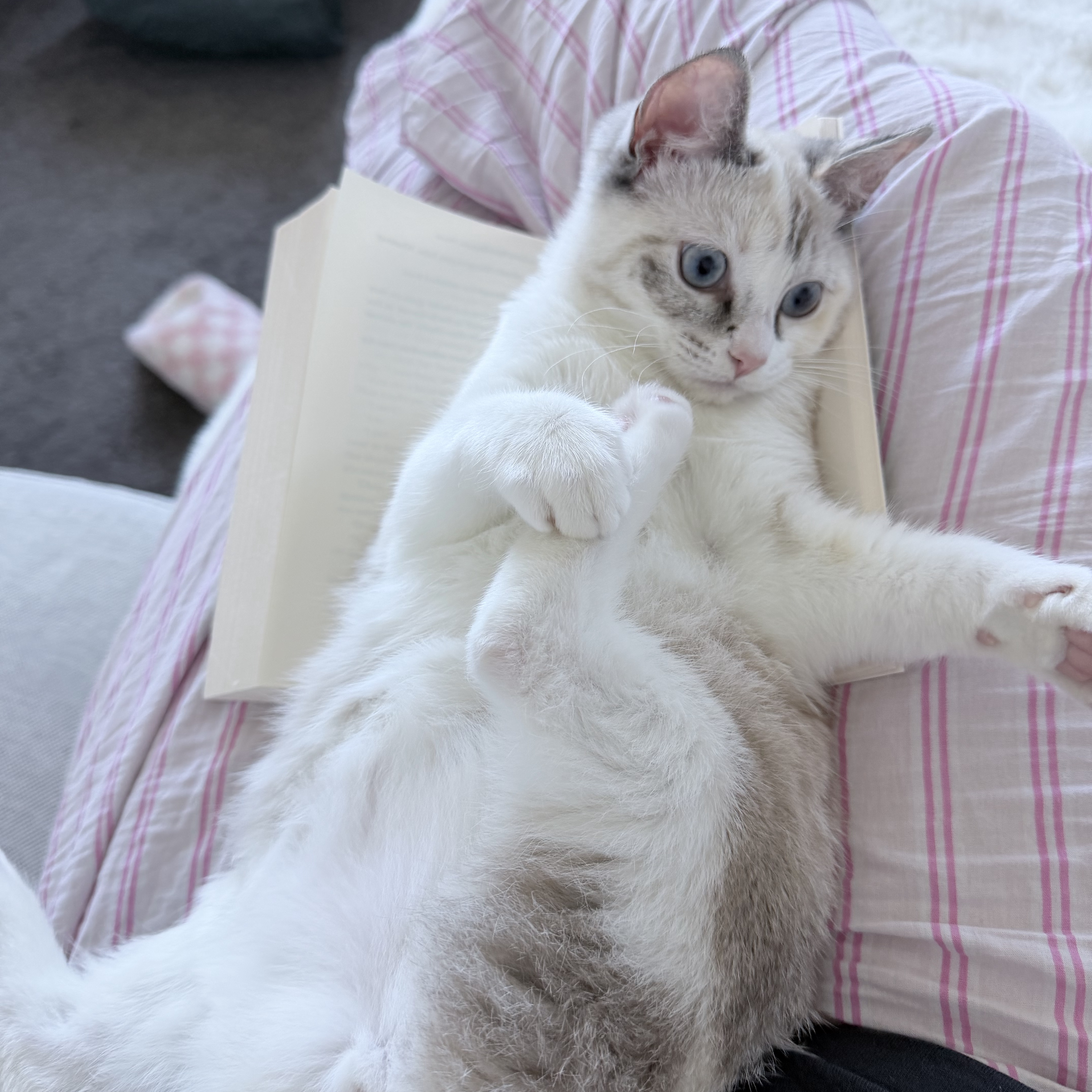 Winnie