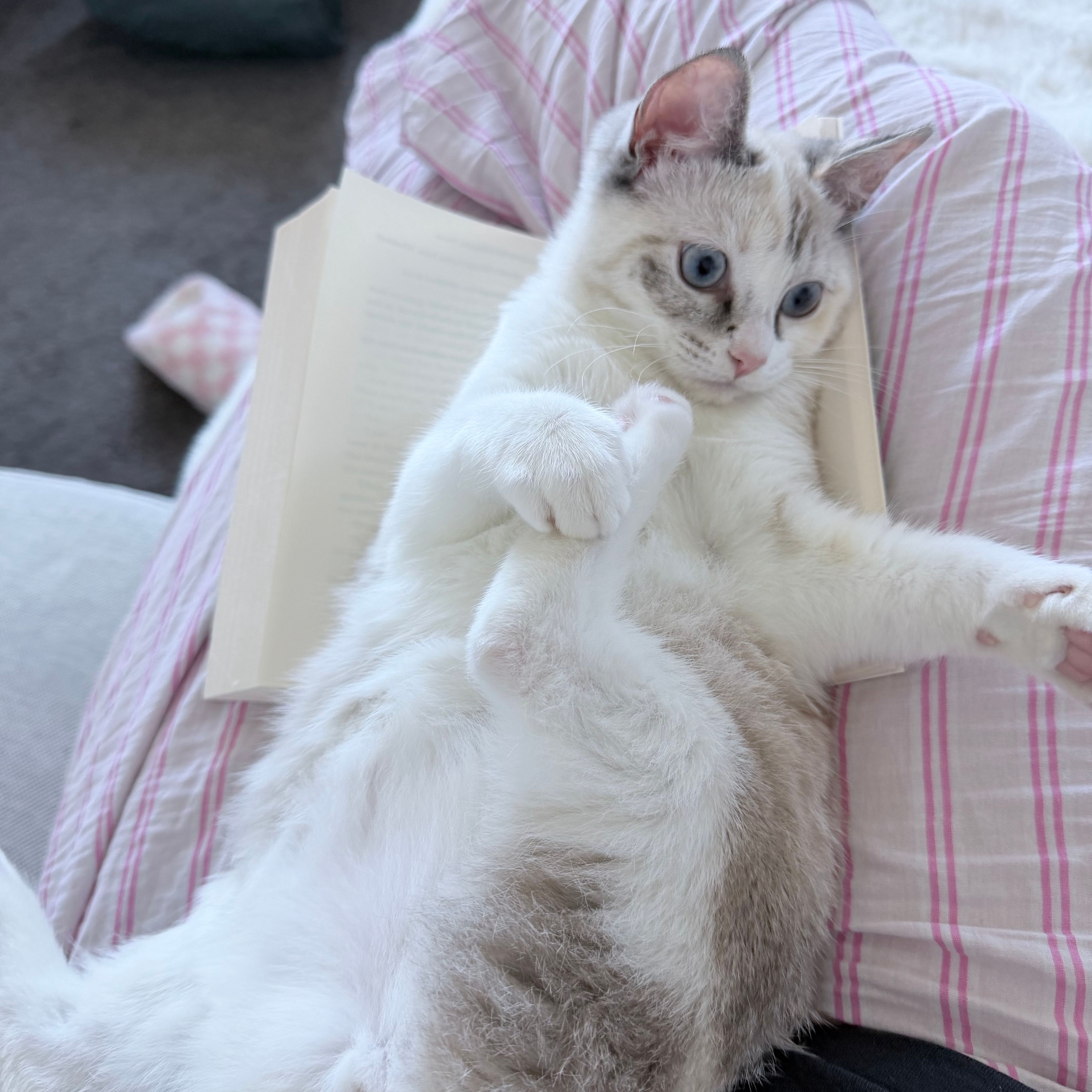 Winnie
