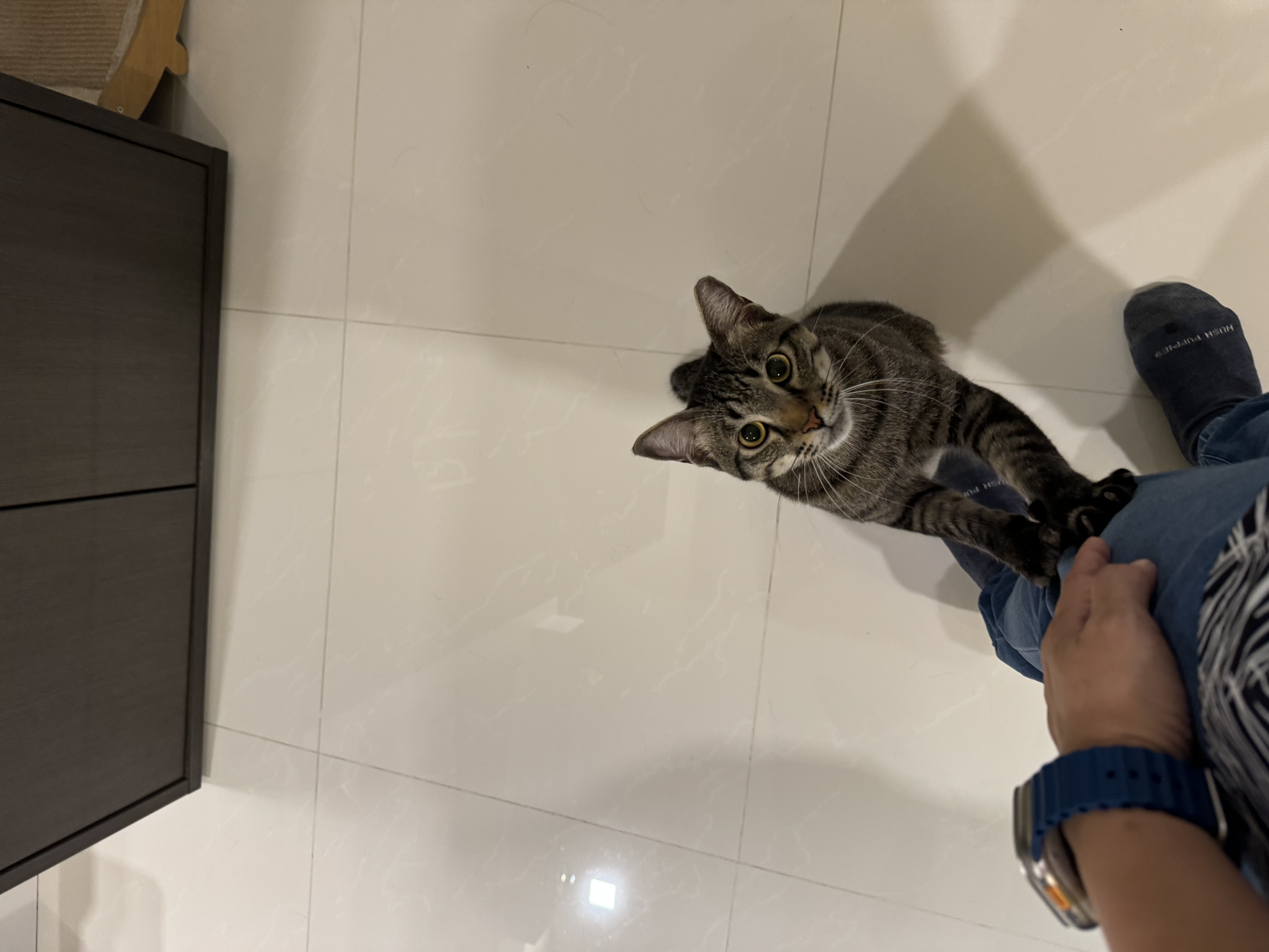 image-16