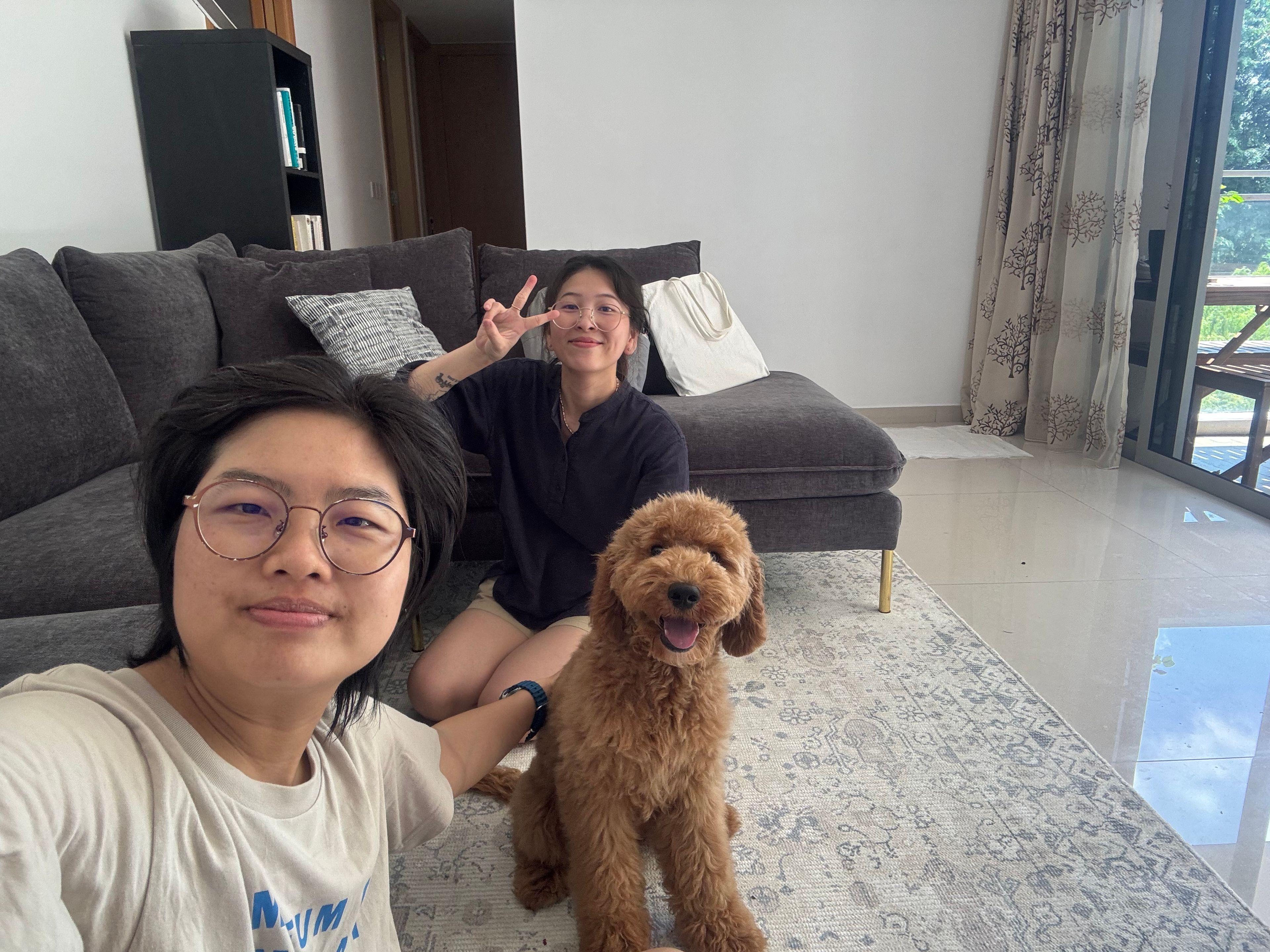 image-20