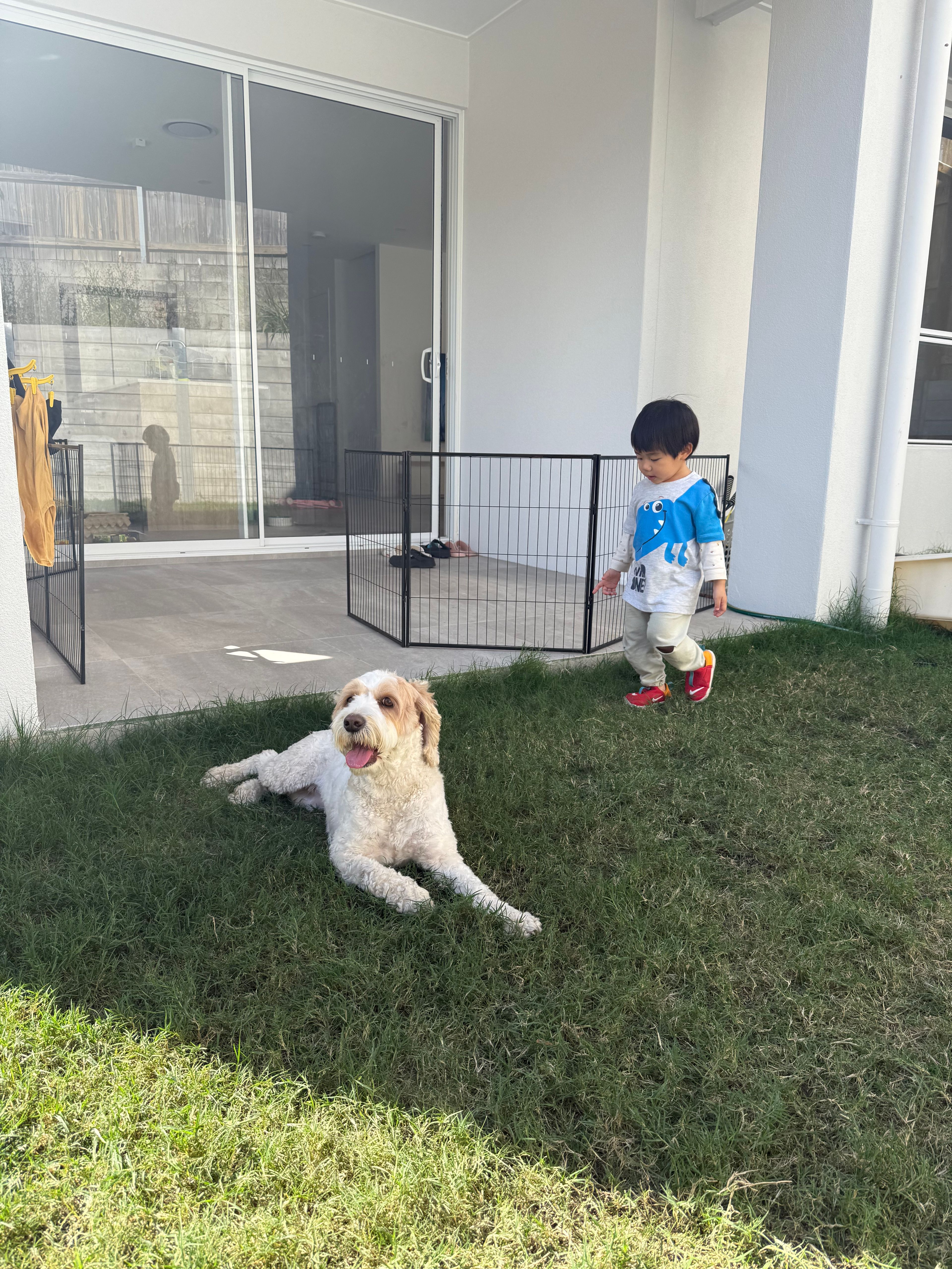 image-17