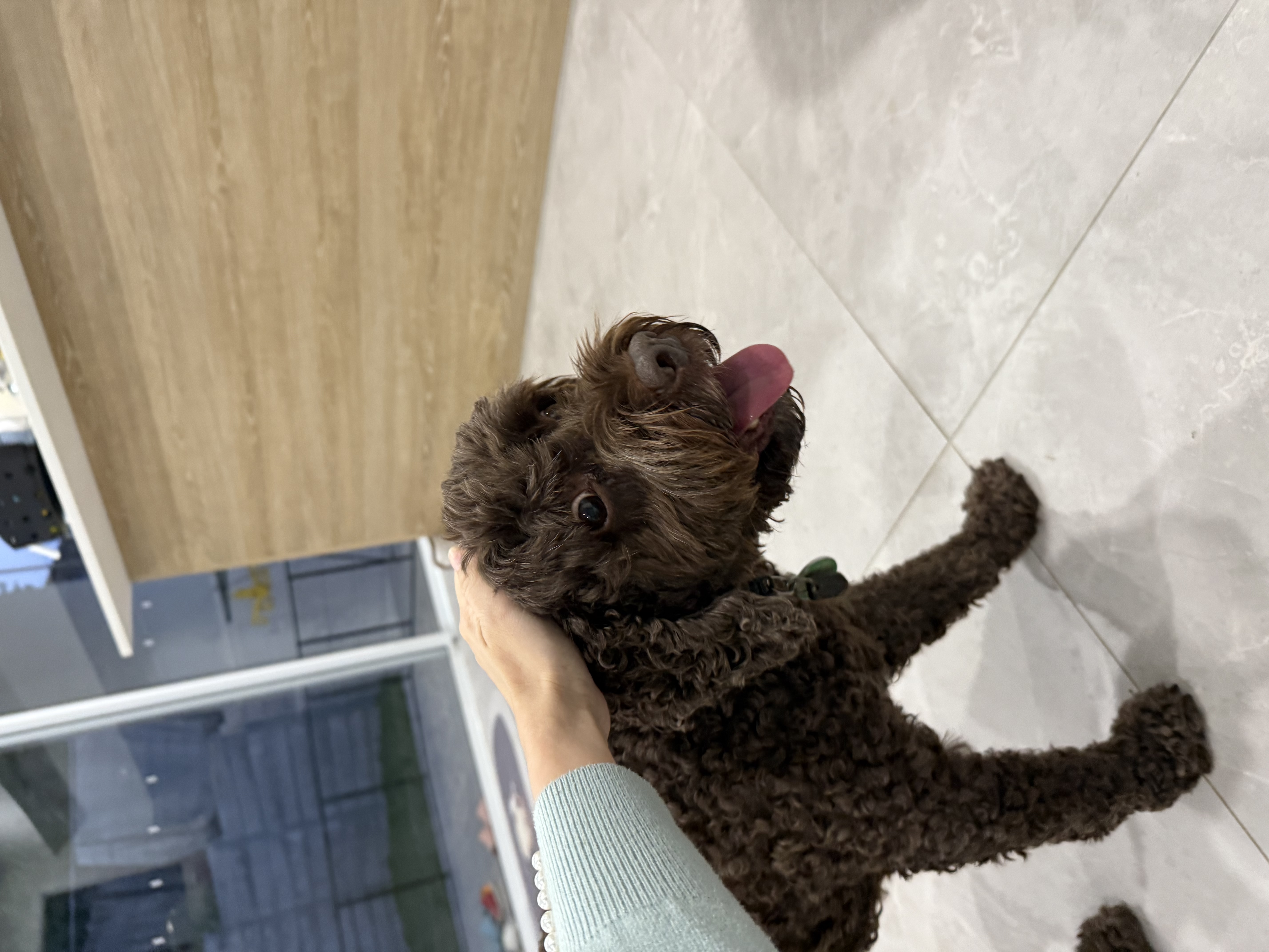 image-6