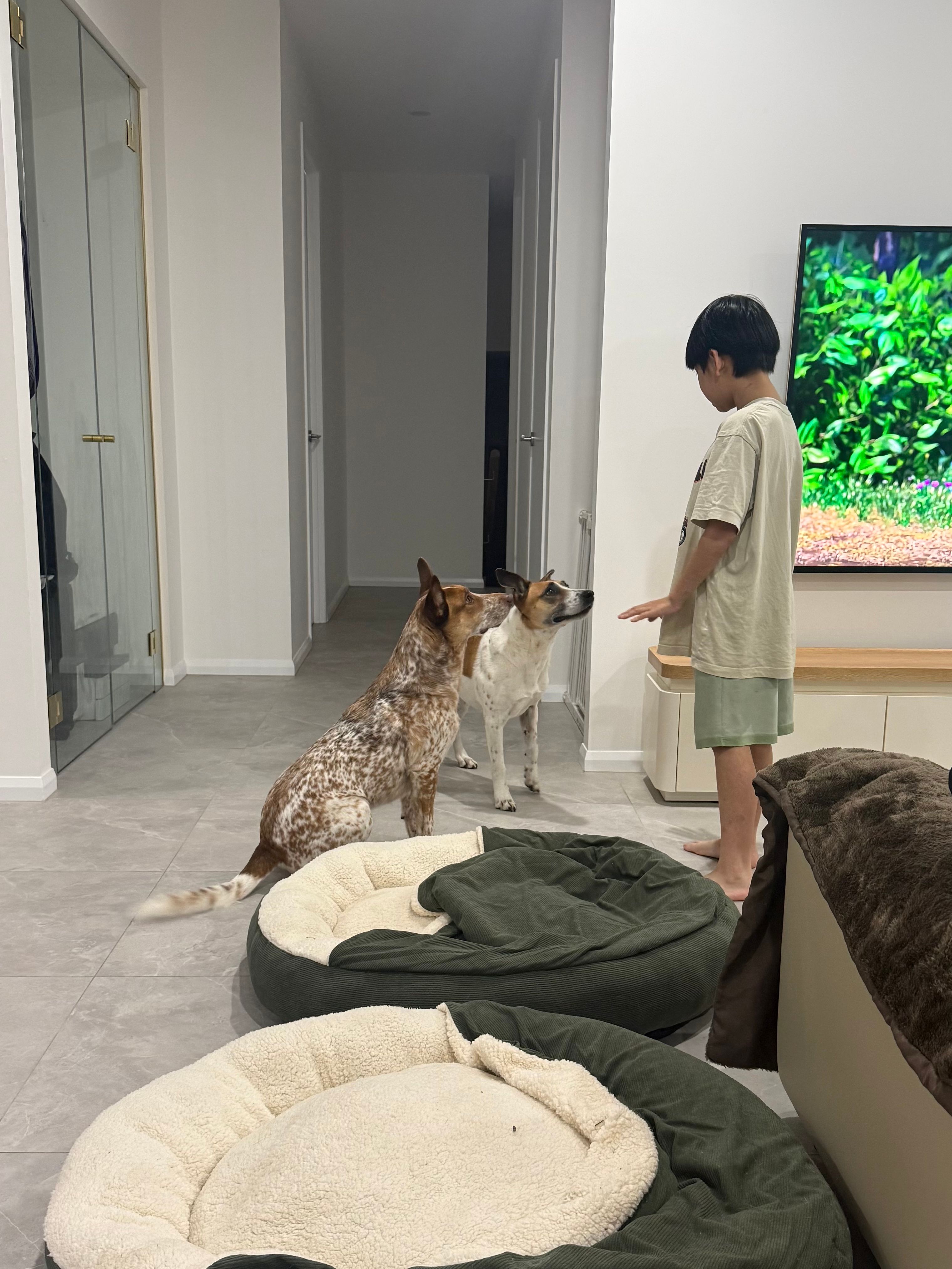 image-13