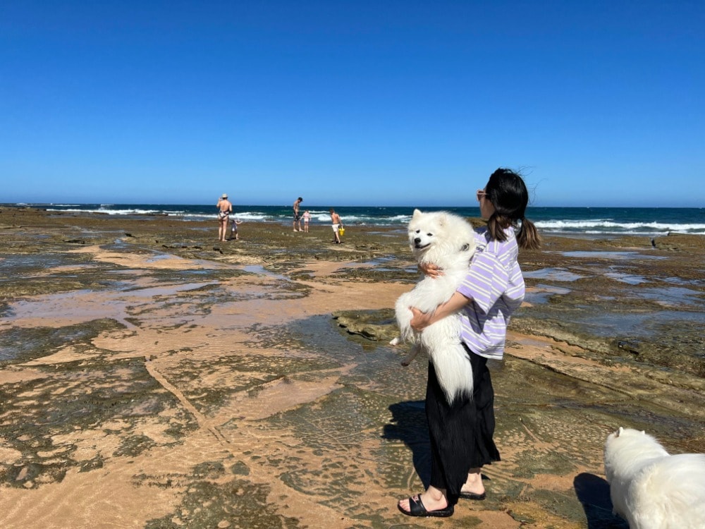 image-10