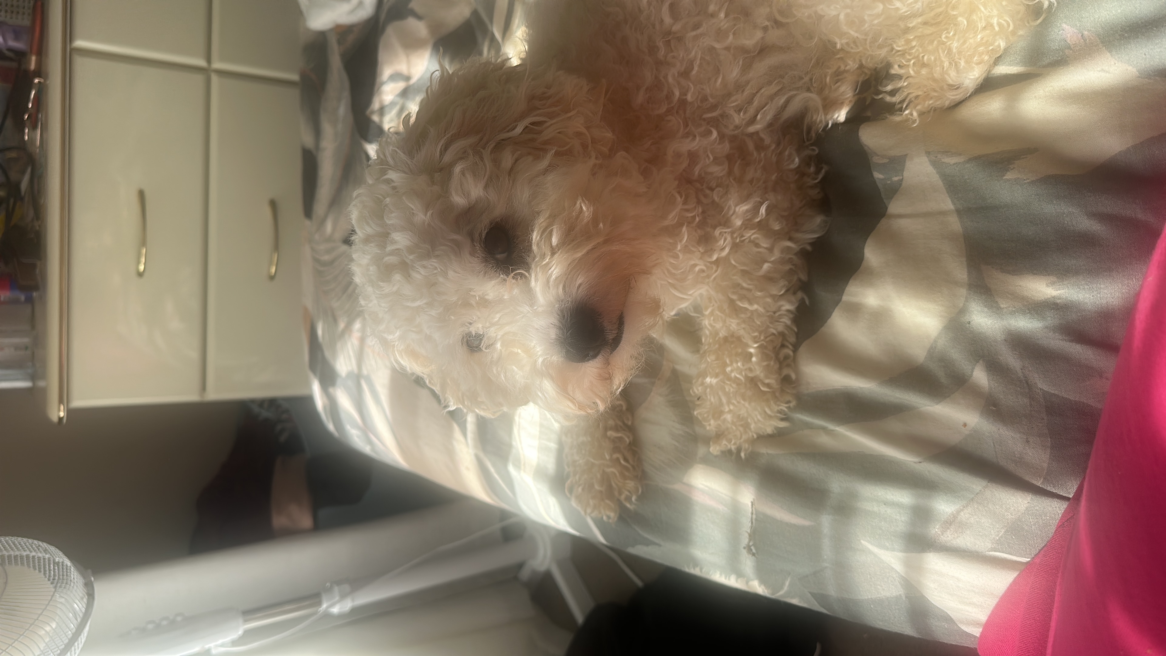 image-10
