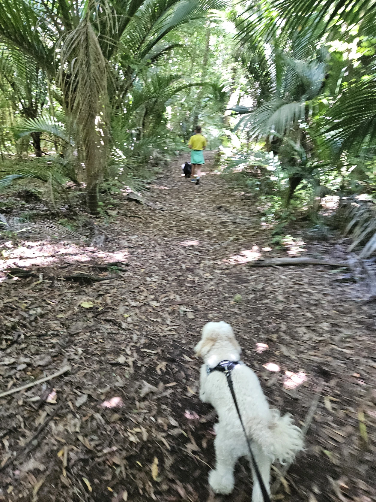 image-3
