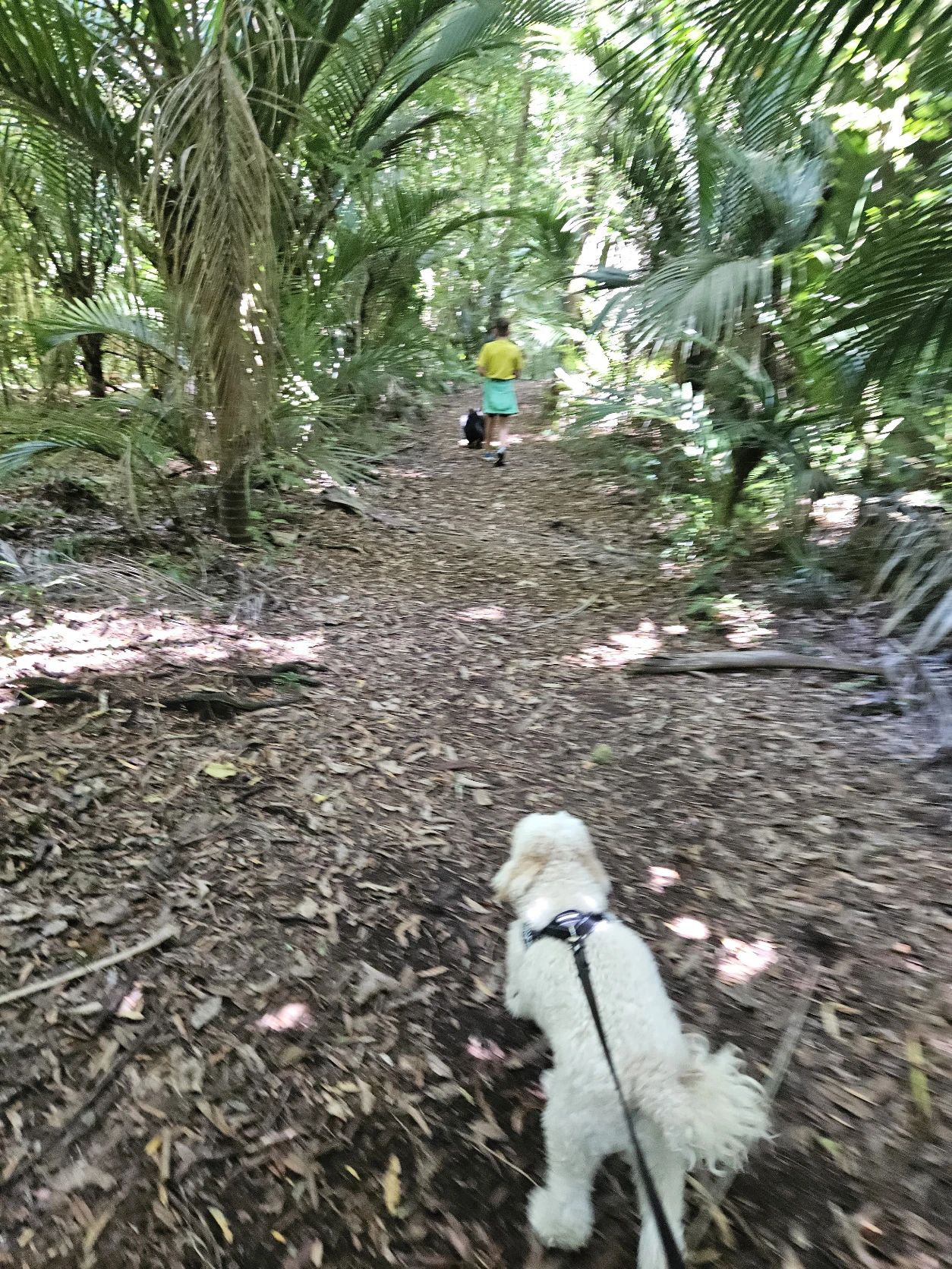 image-3