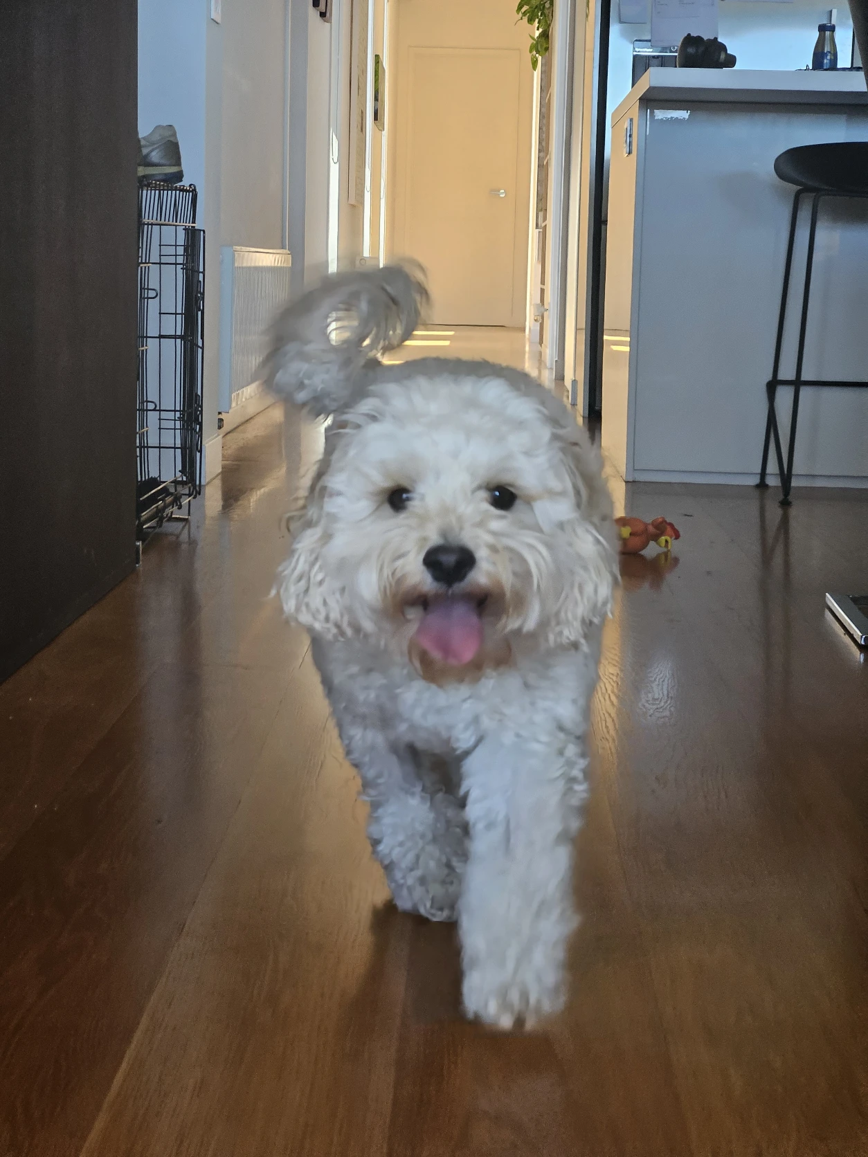 image-6
