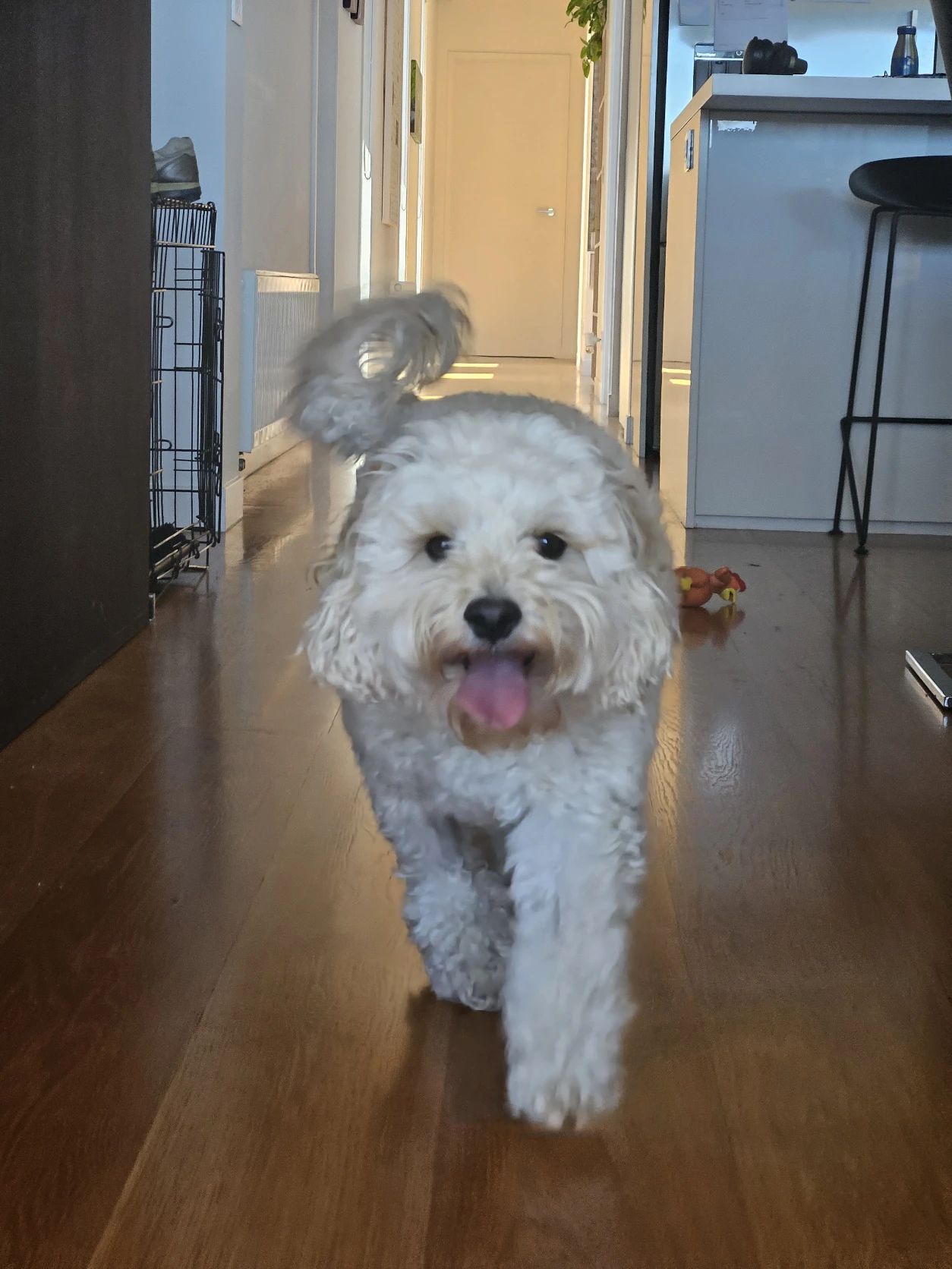 image-6