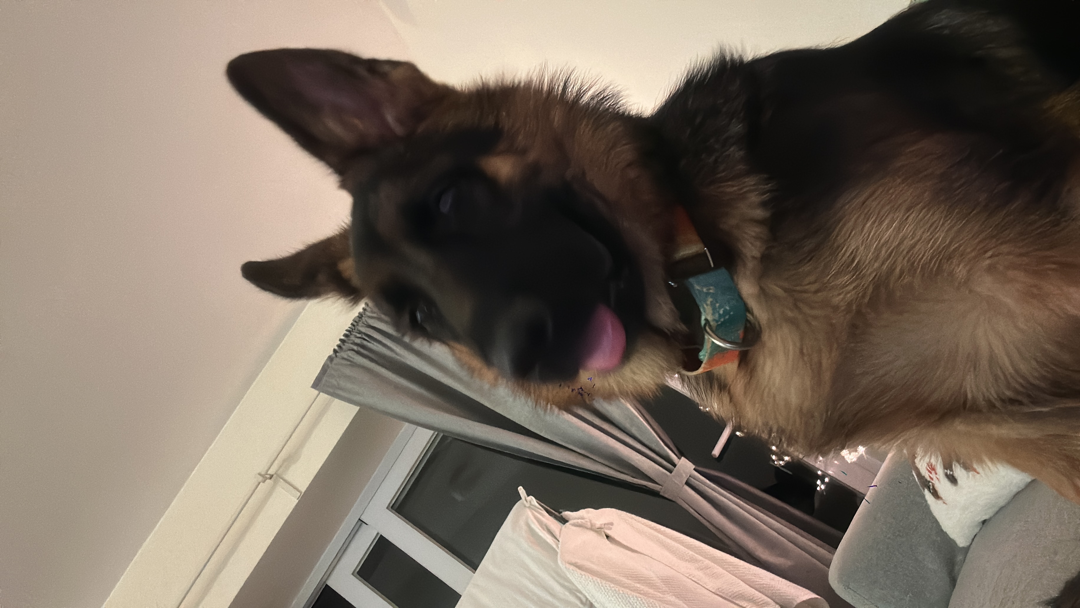 image-8