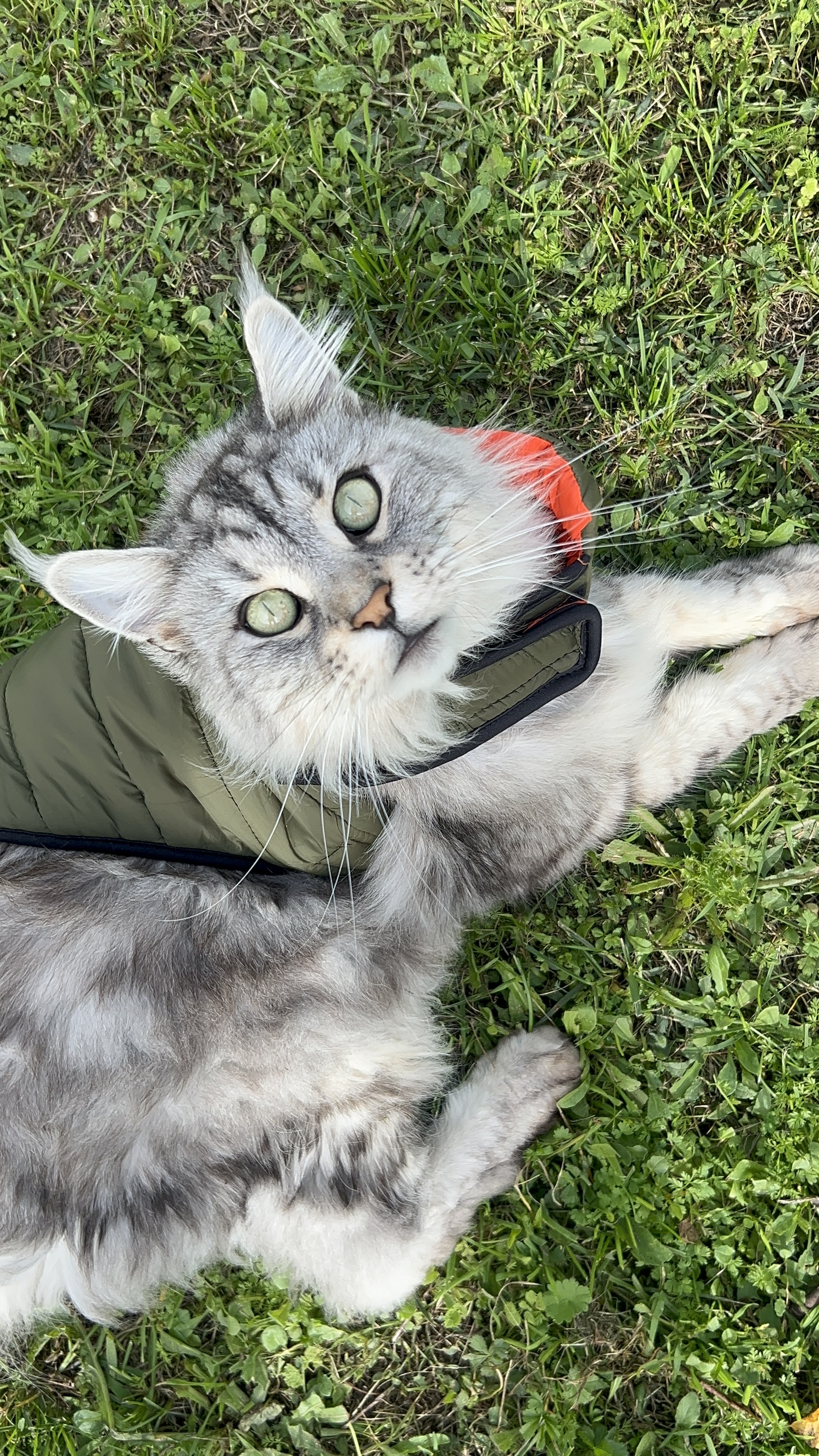 image-6