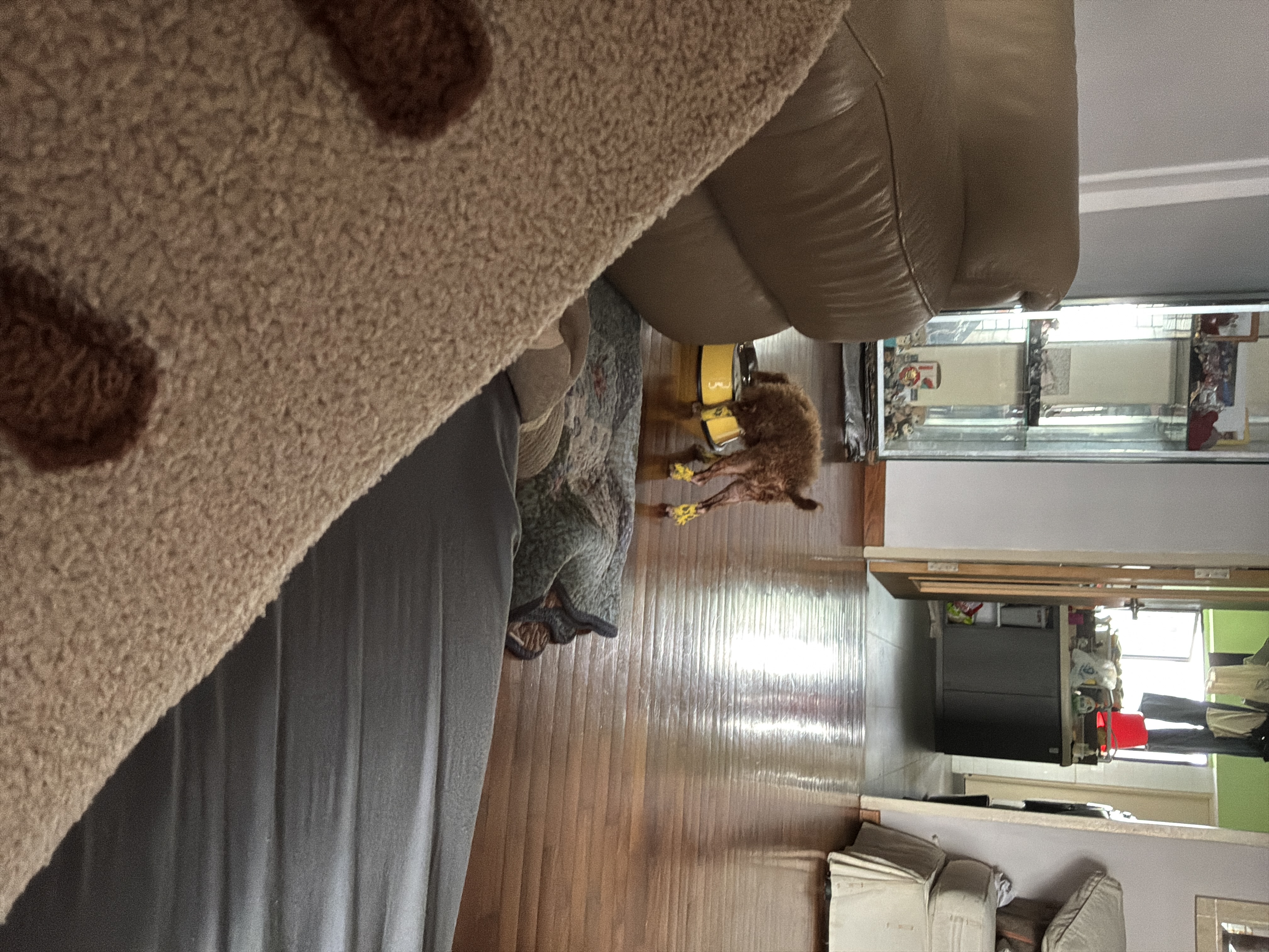 image-12