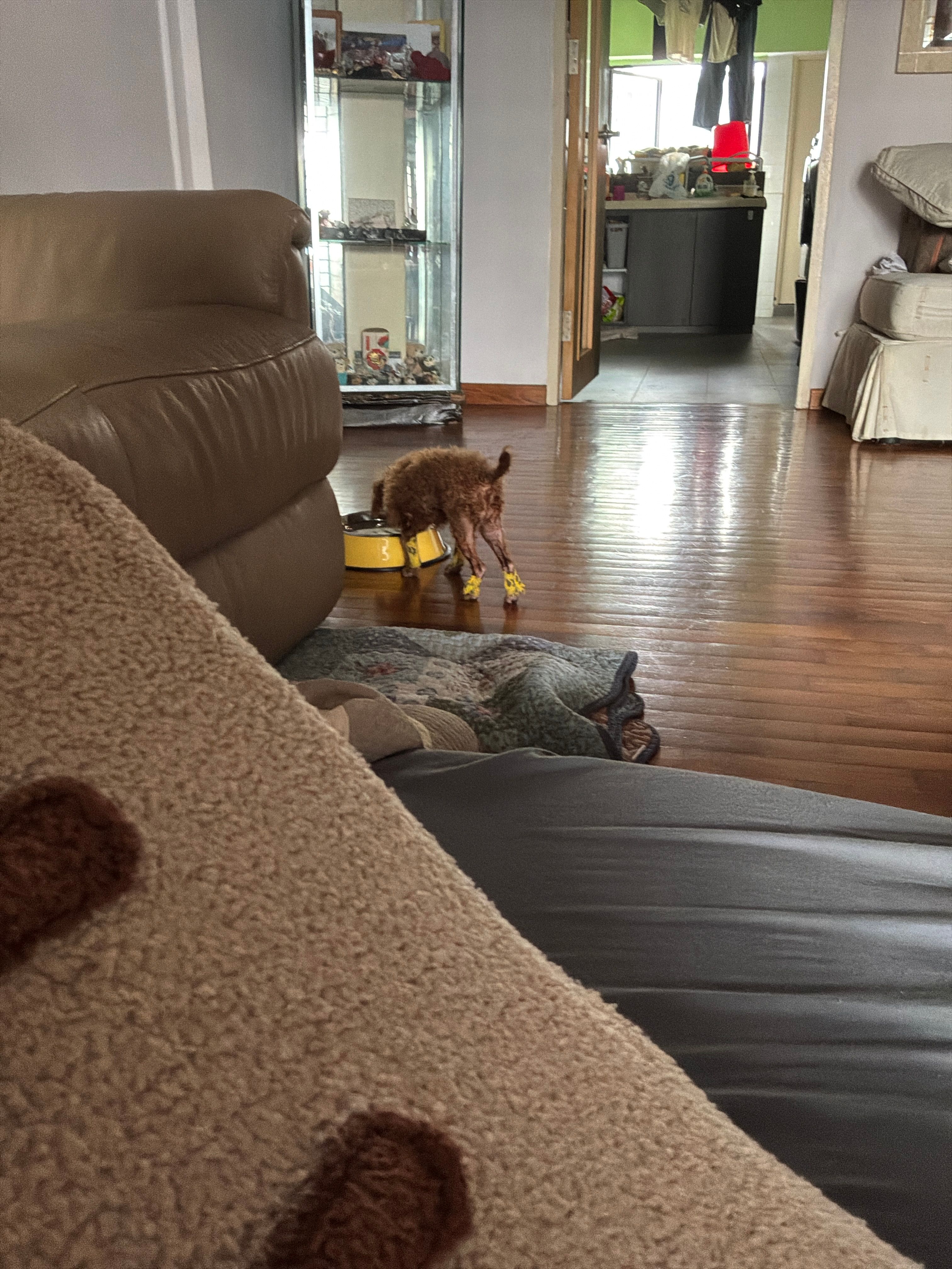 image-12