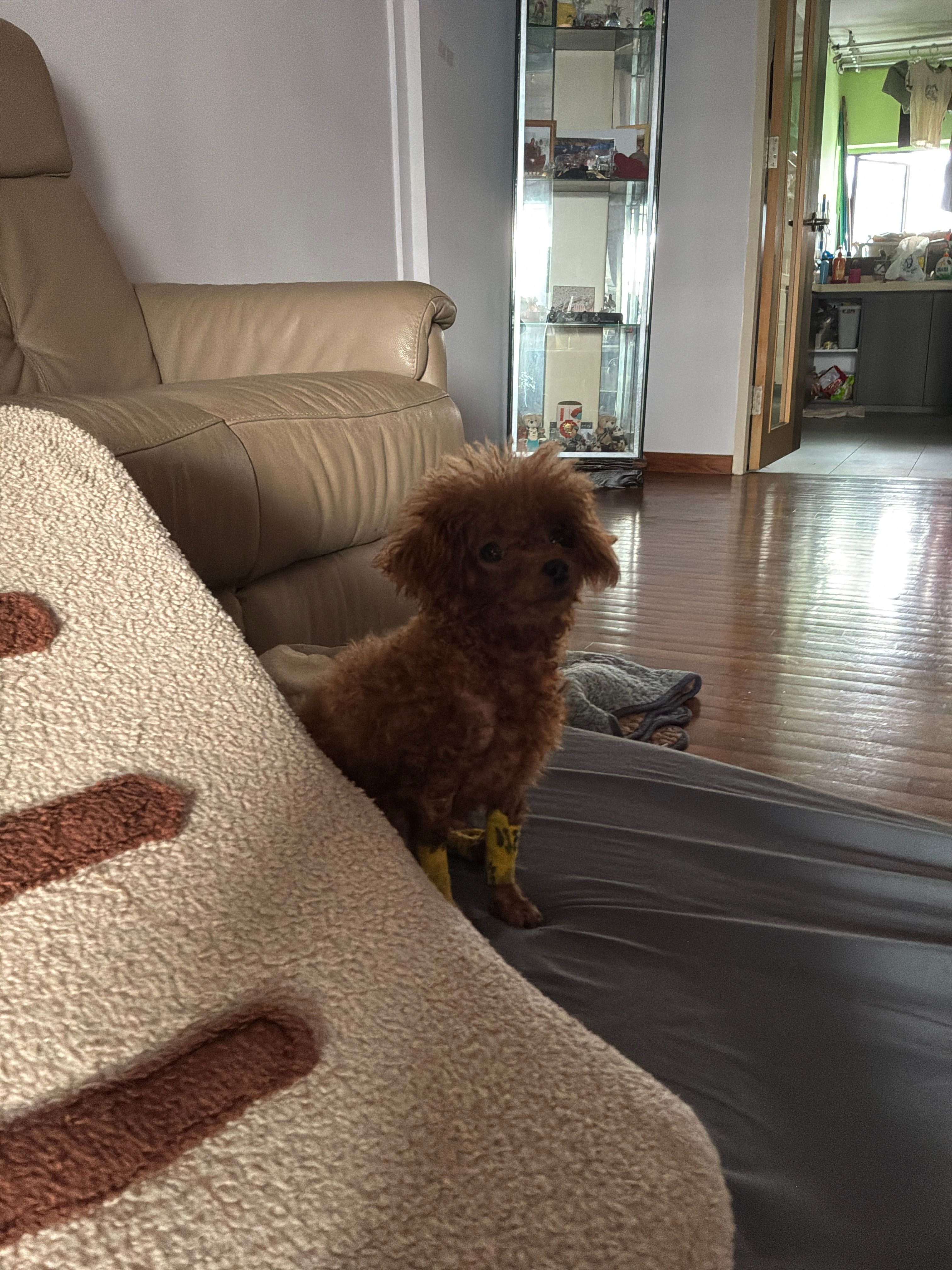 image-10