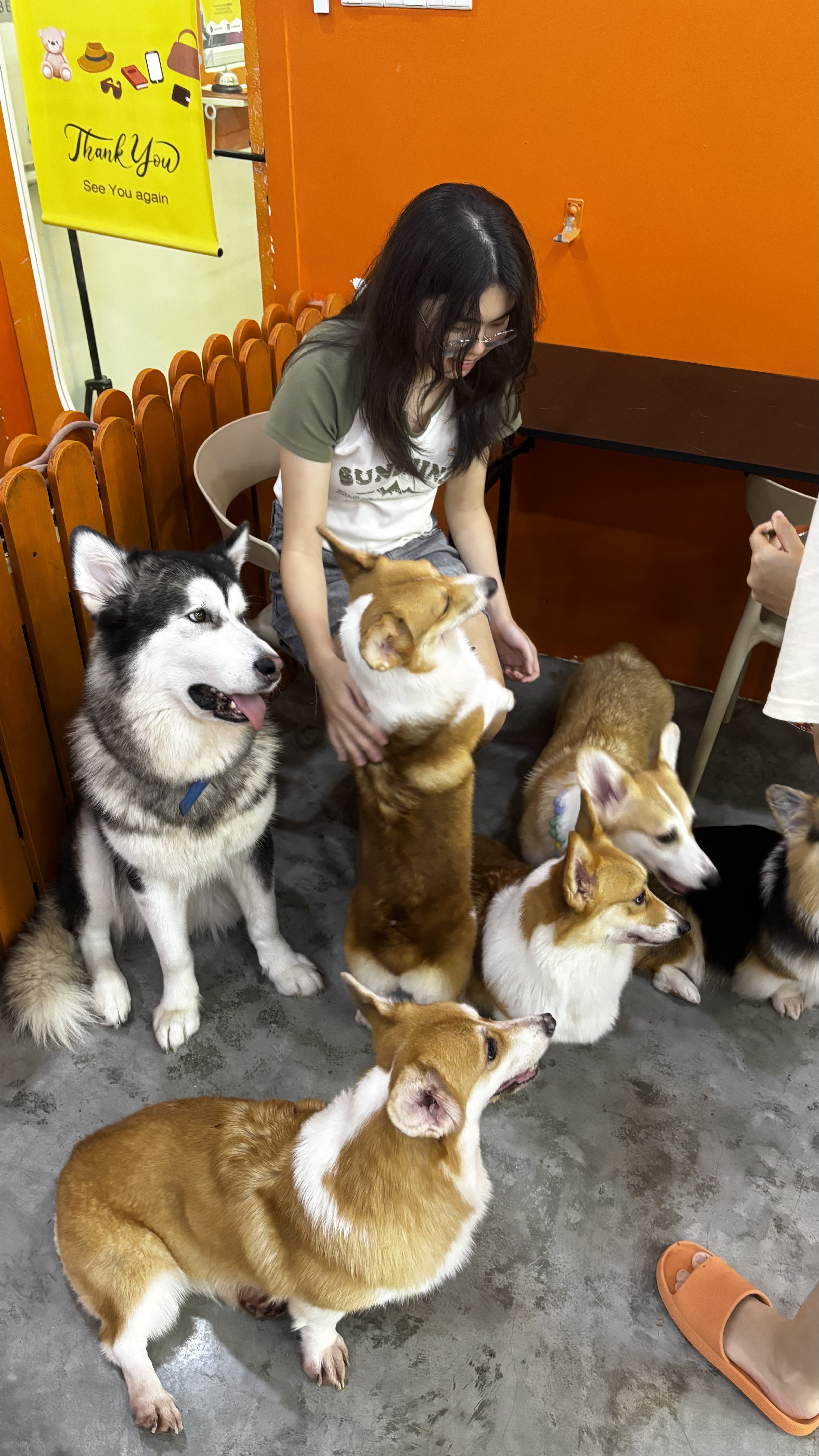 image-5