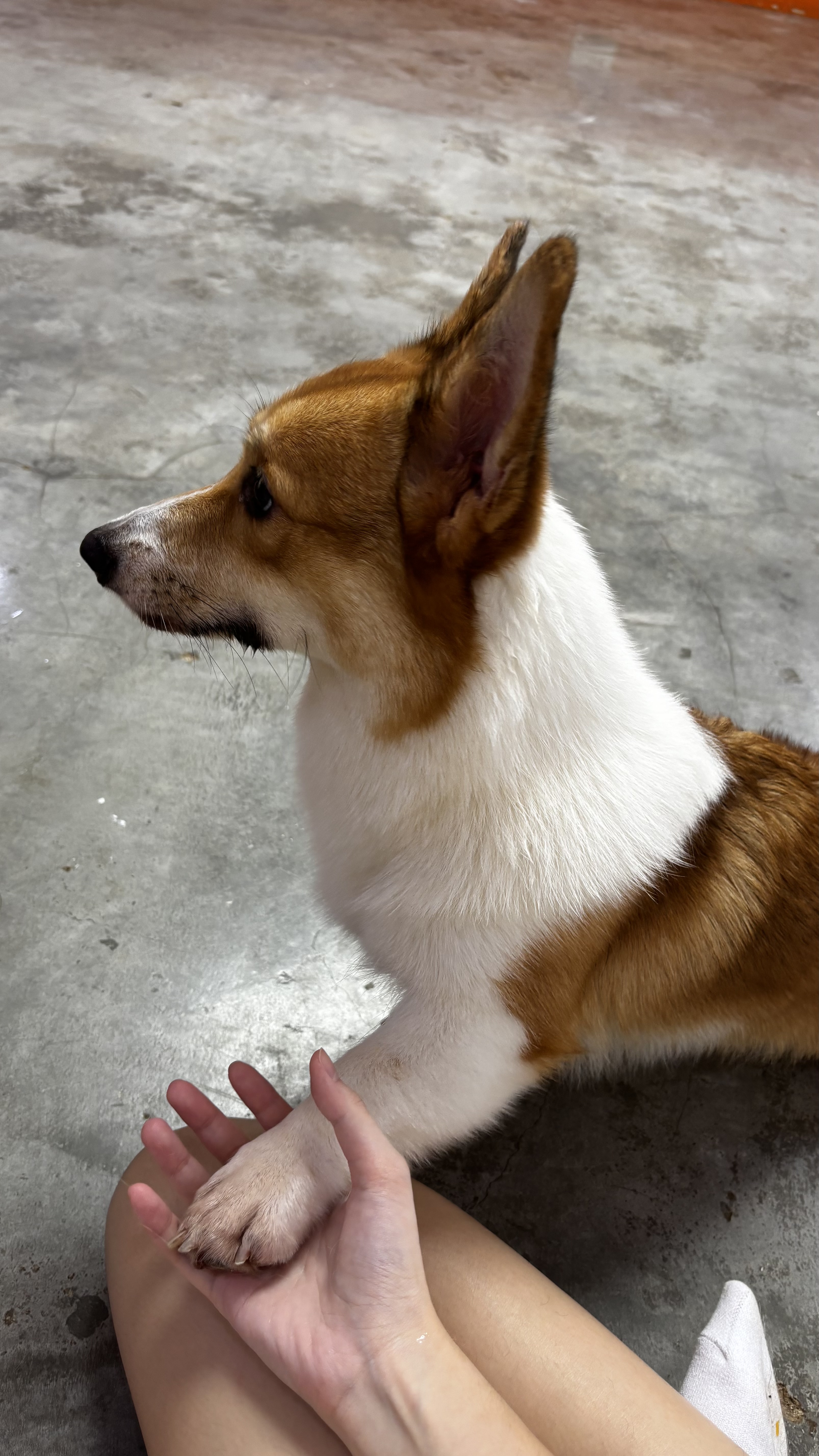 image-4