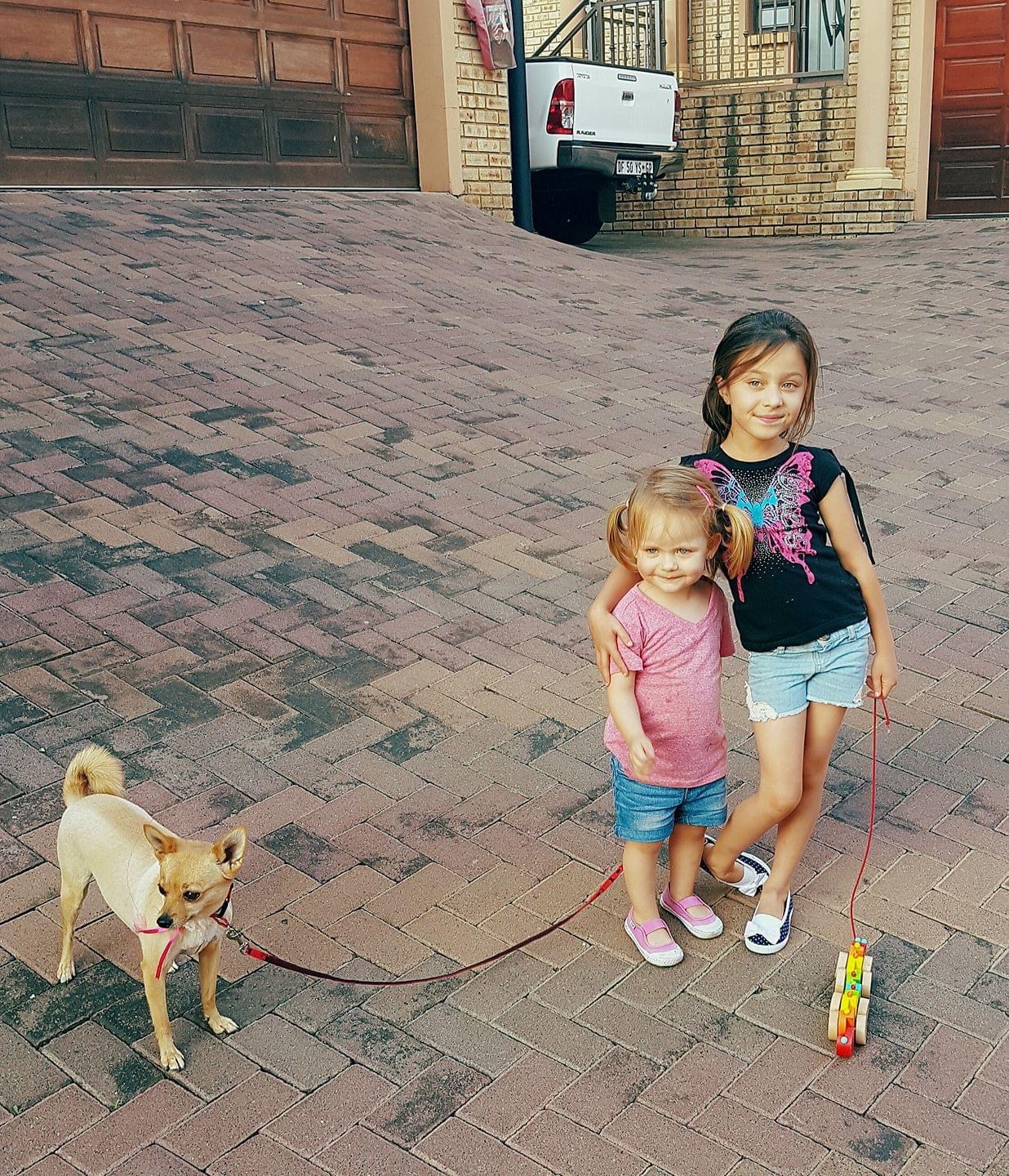 image-17