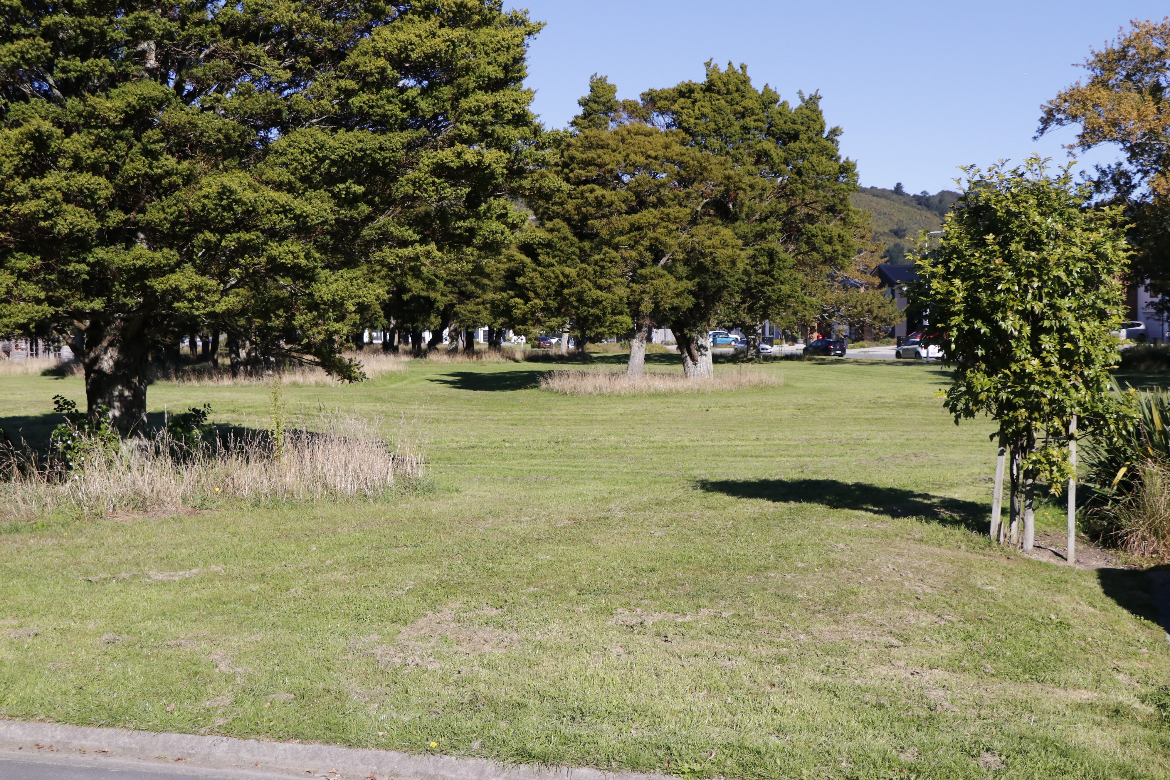 image-20