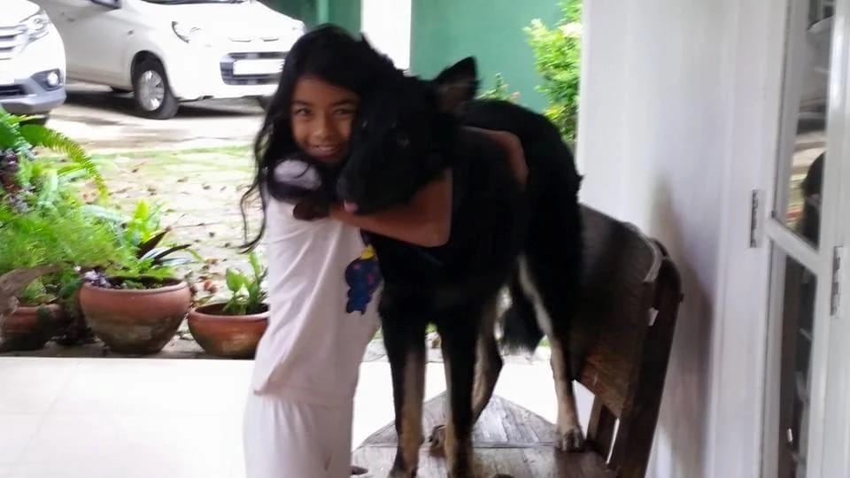 image-7