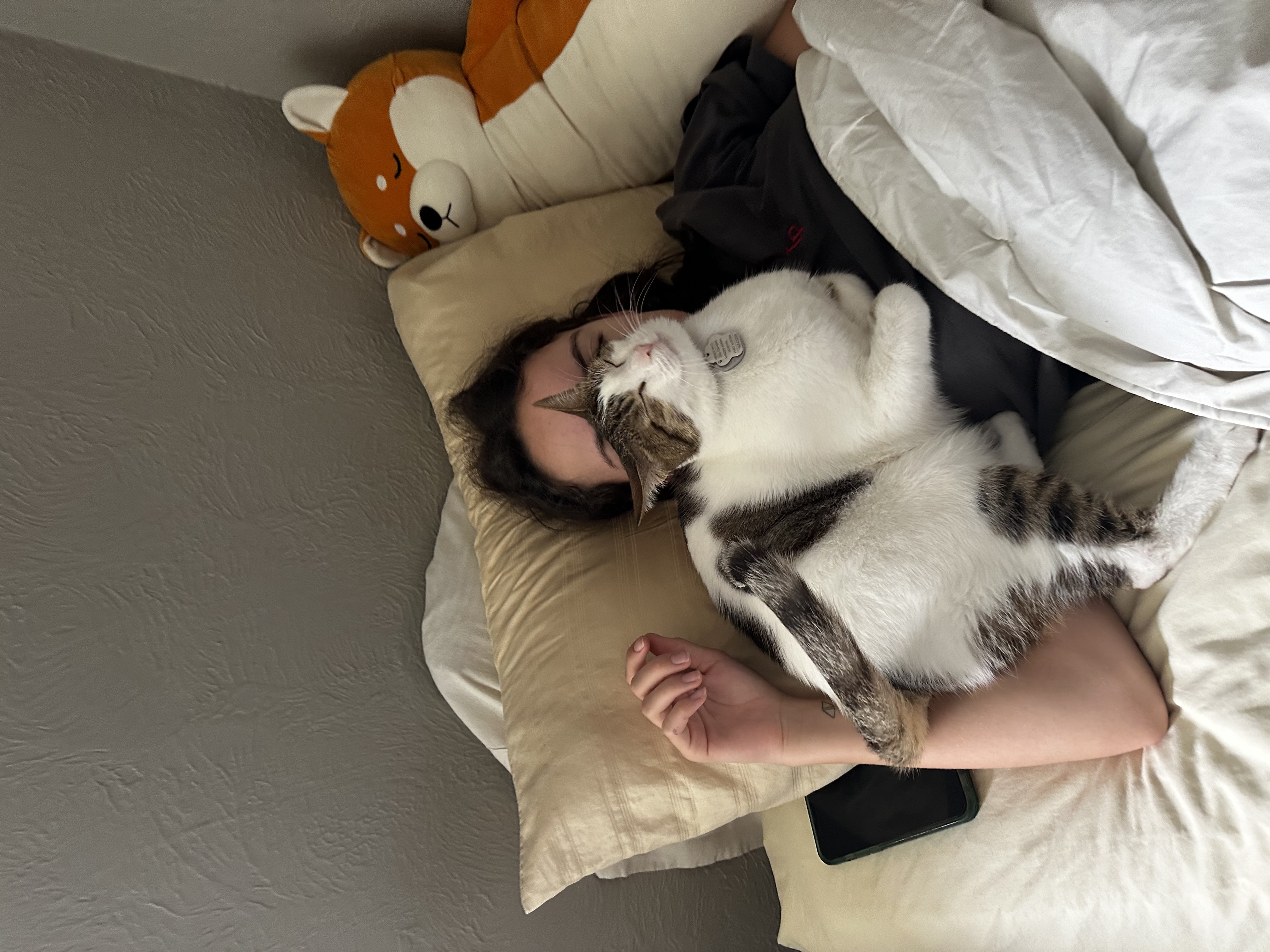 image-7