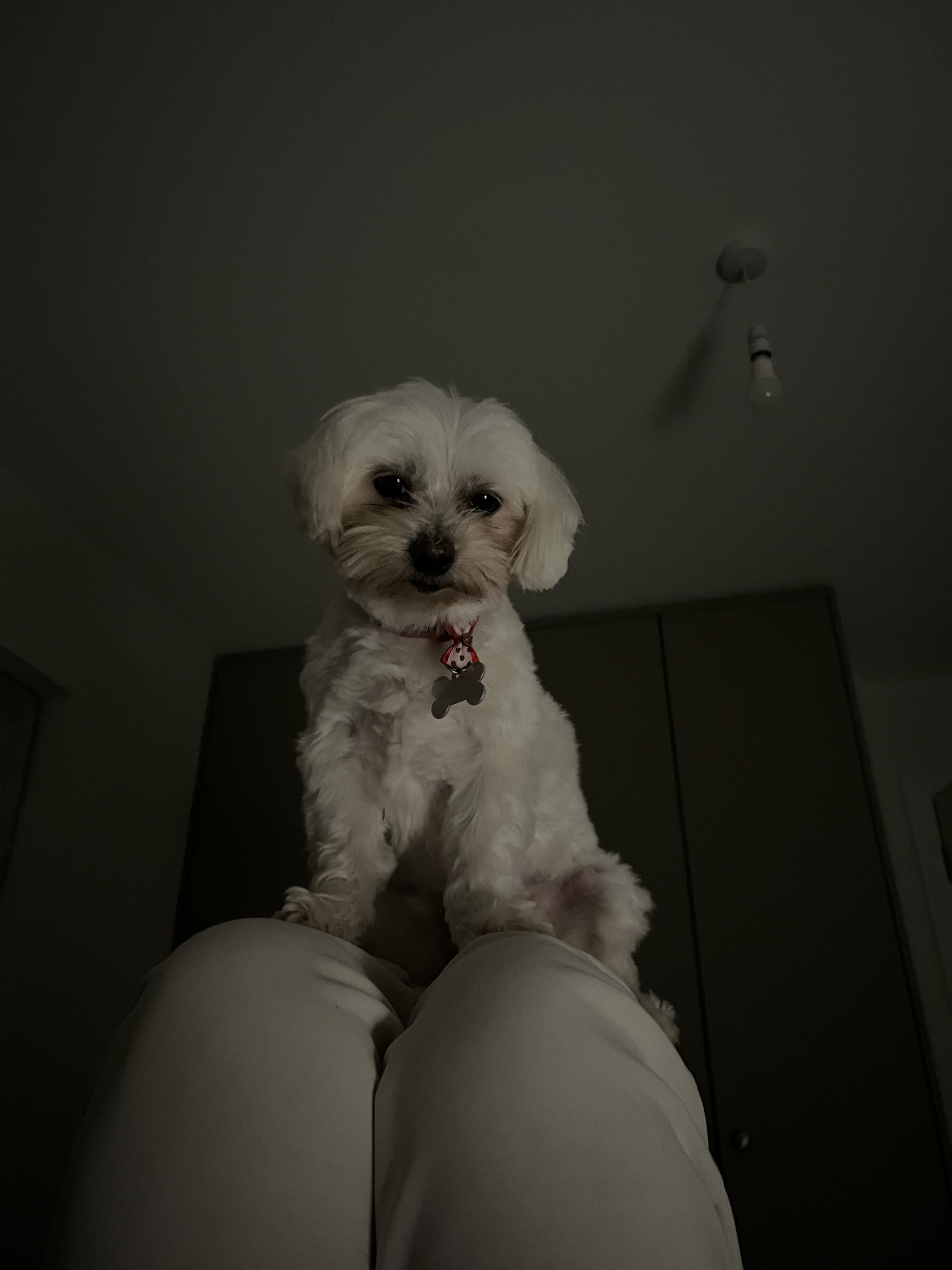 image-7