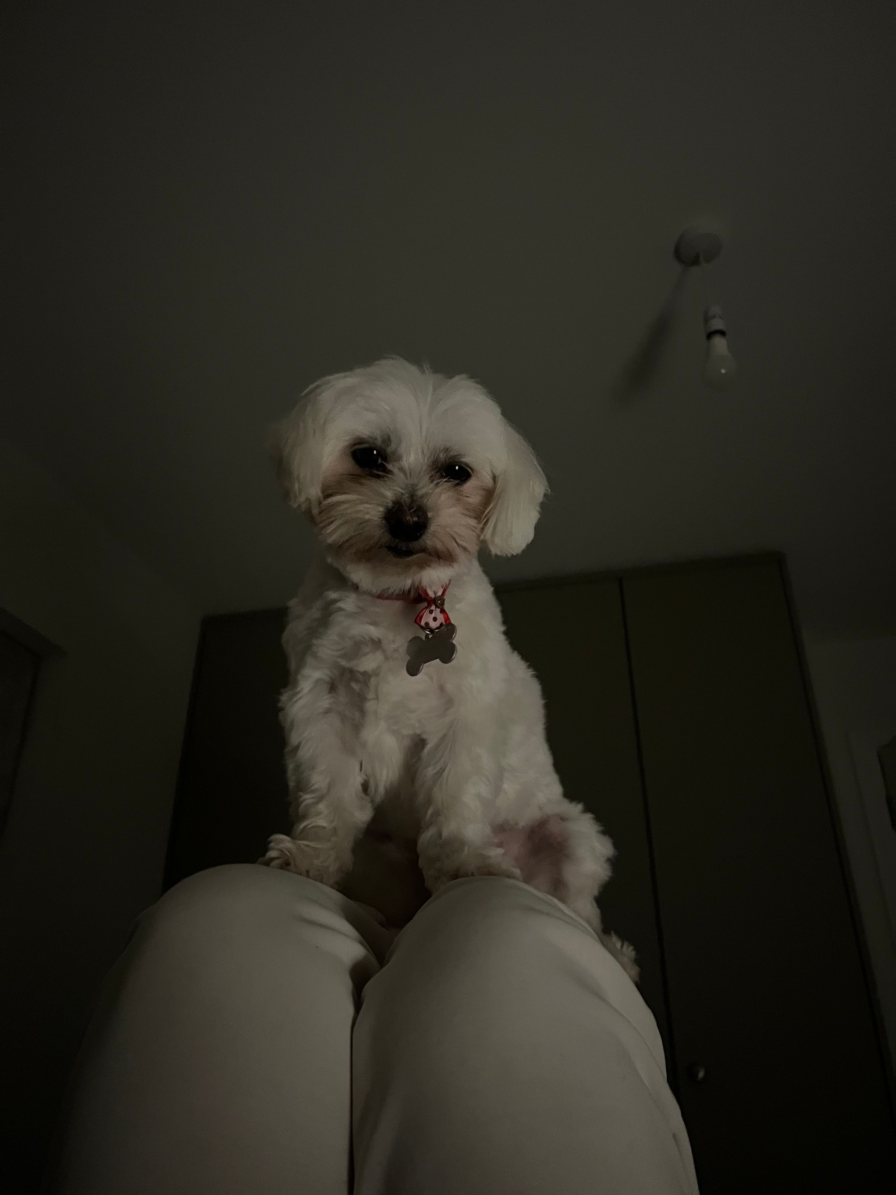 image-7