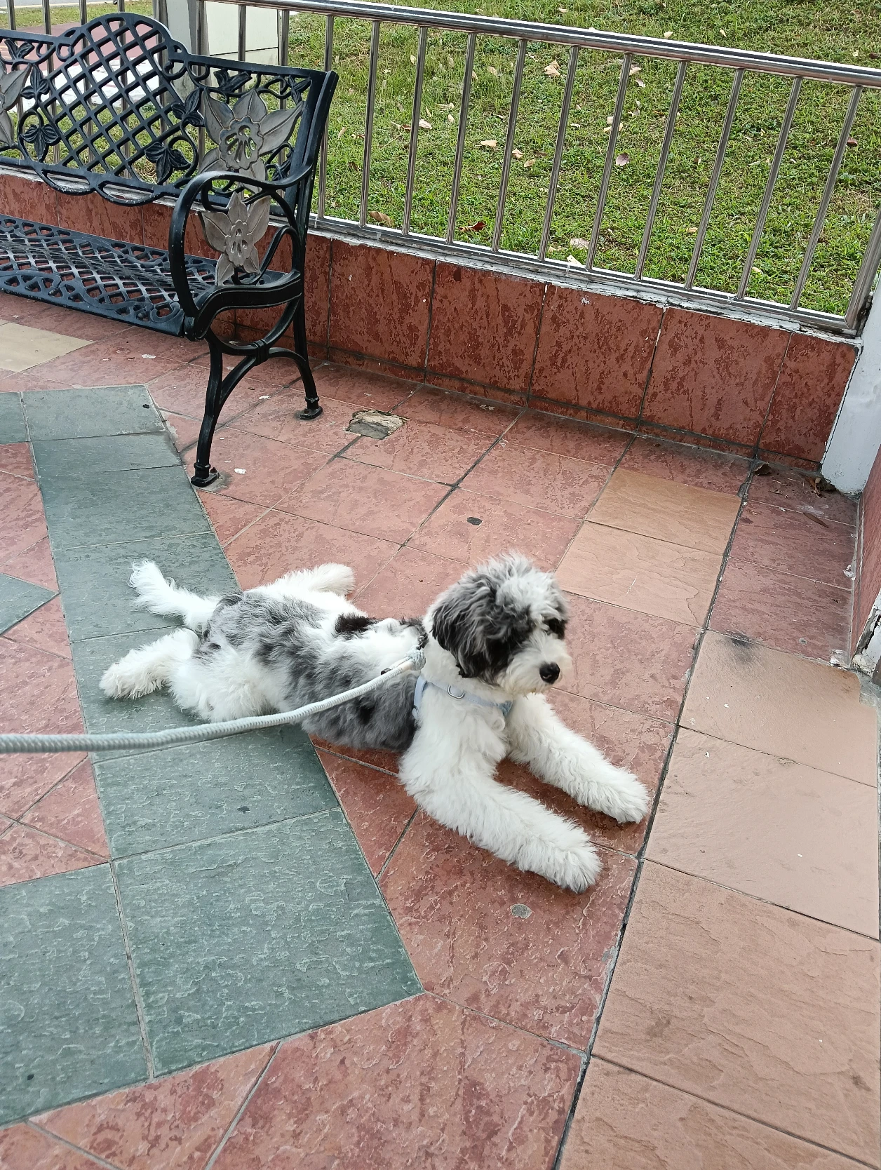 image-14