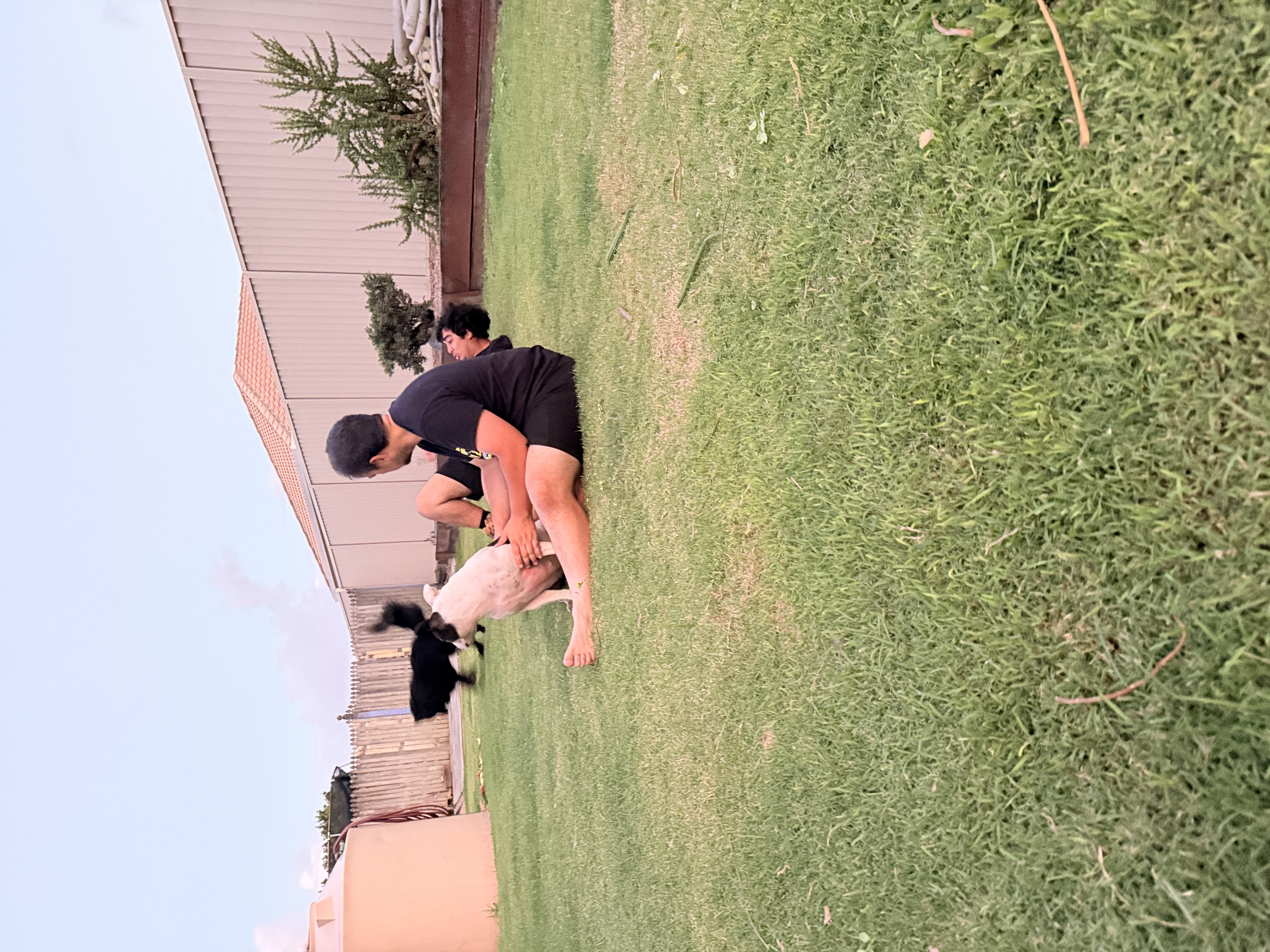 image-6
