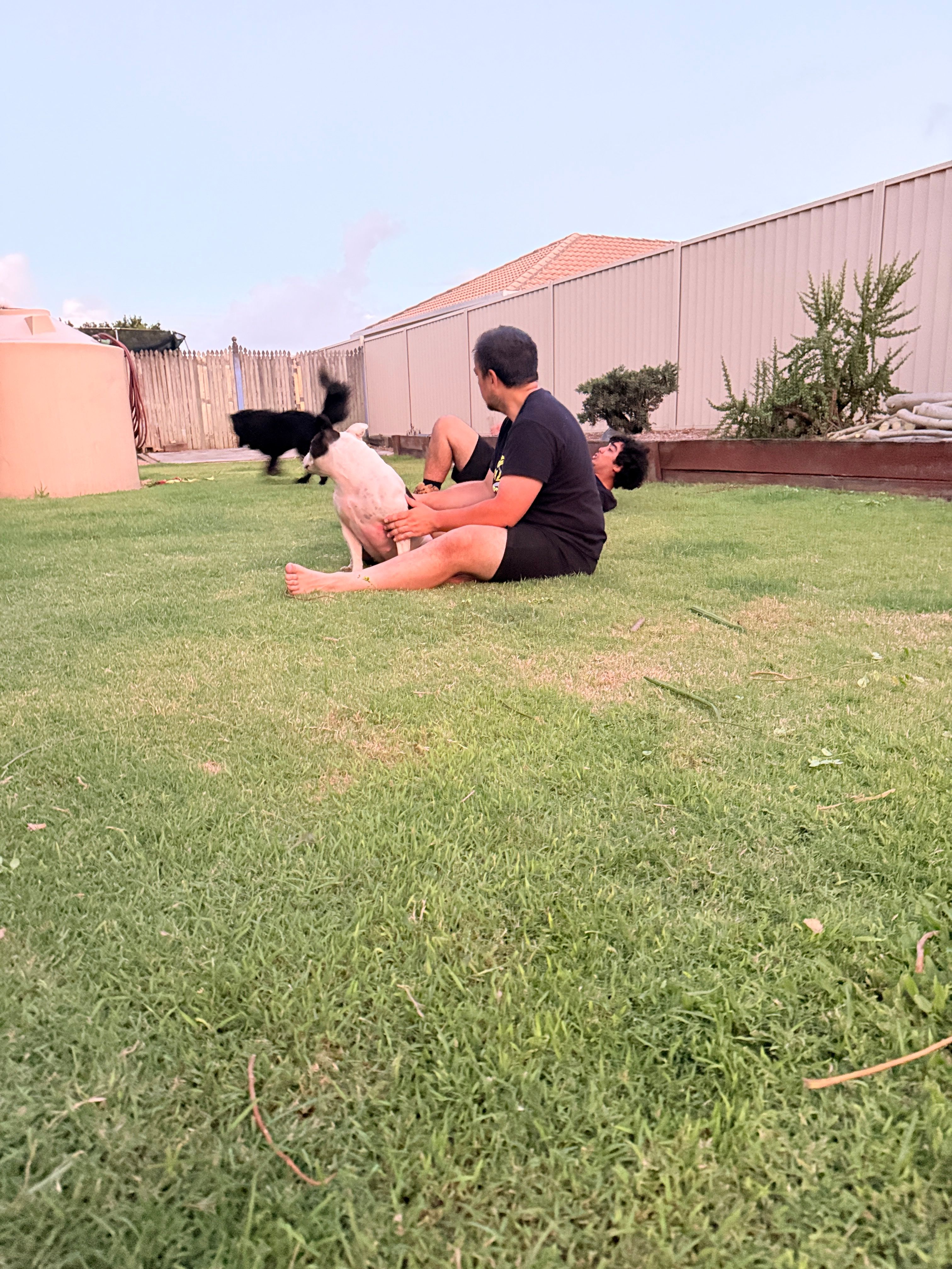 image-6