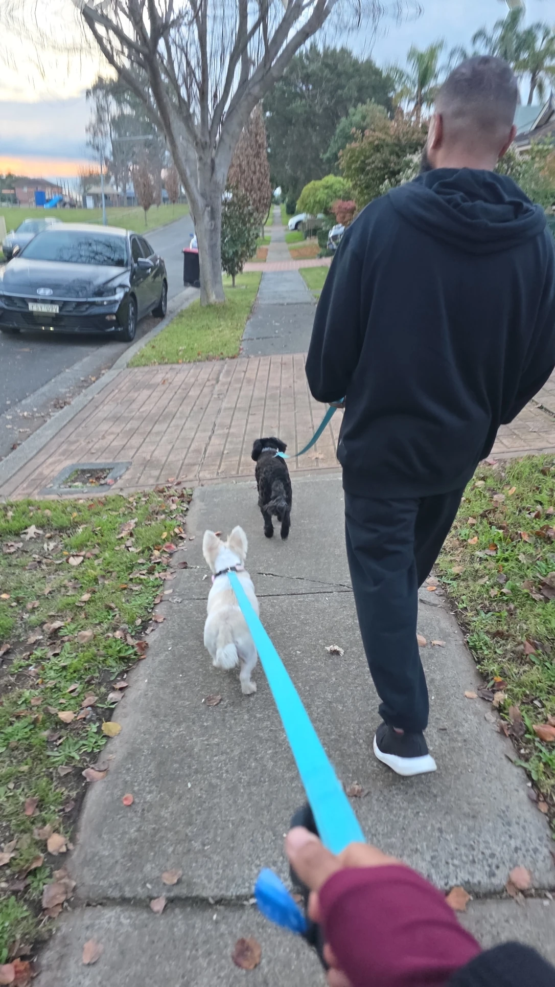 image-18