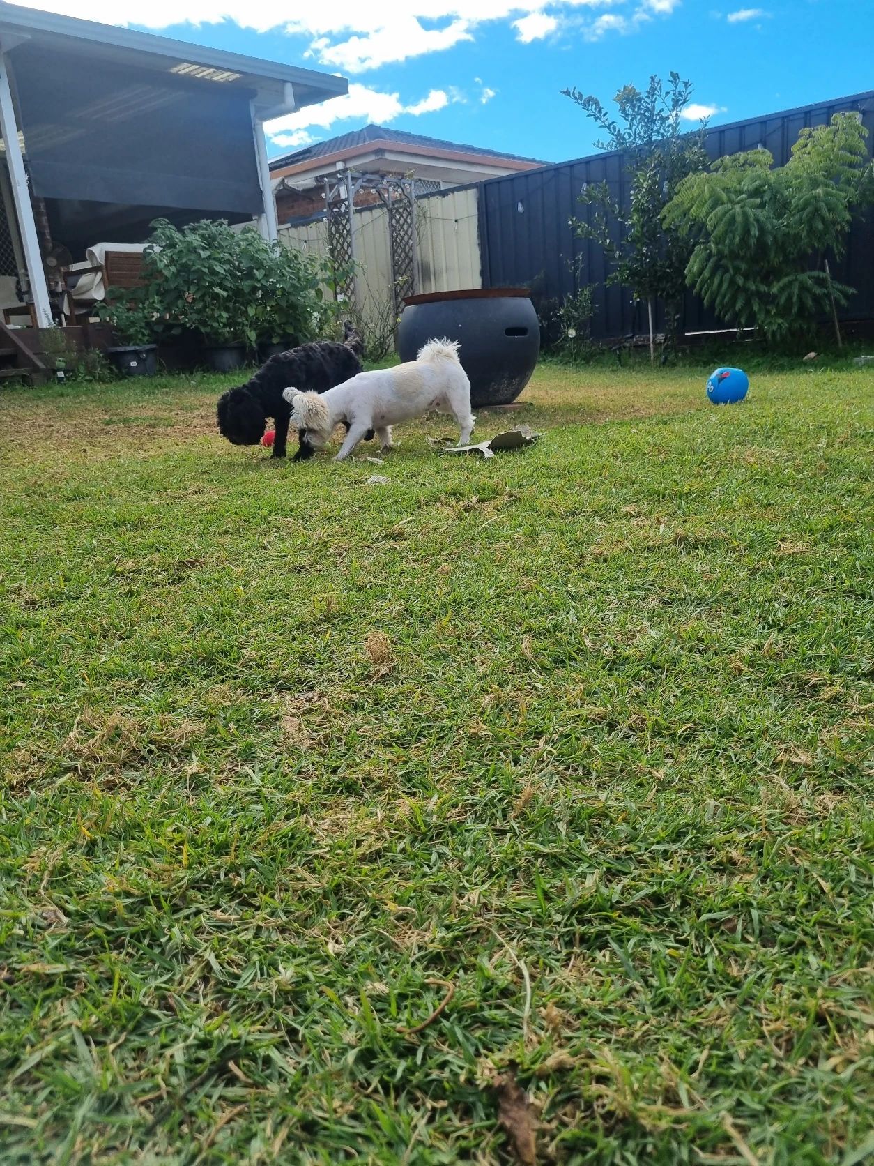 image-27