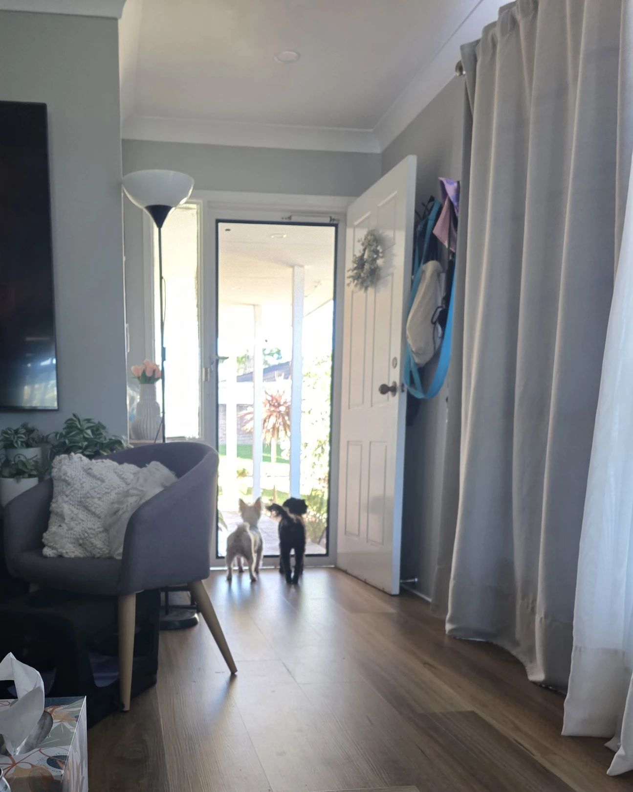 image-17
