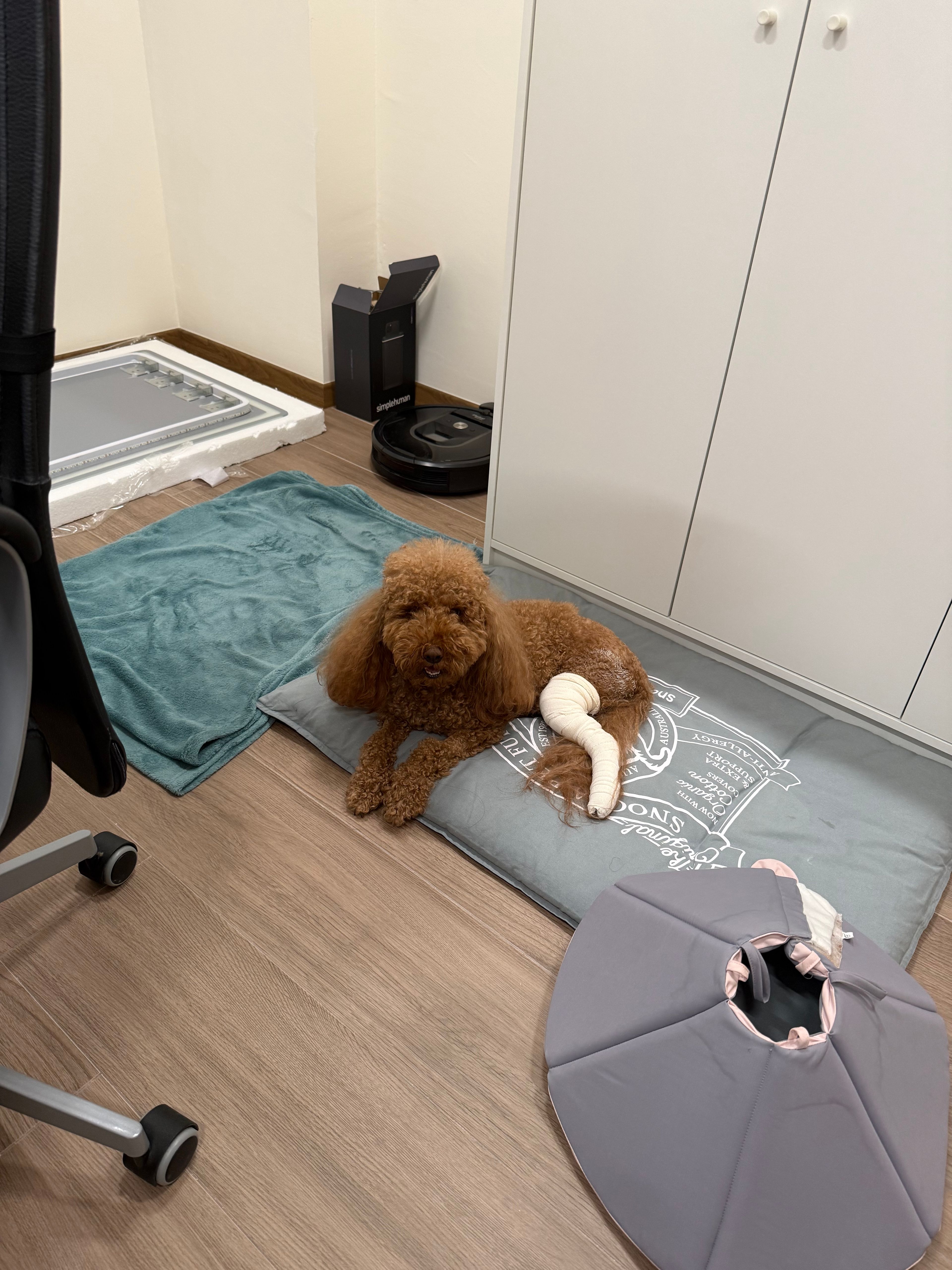 image-14