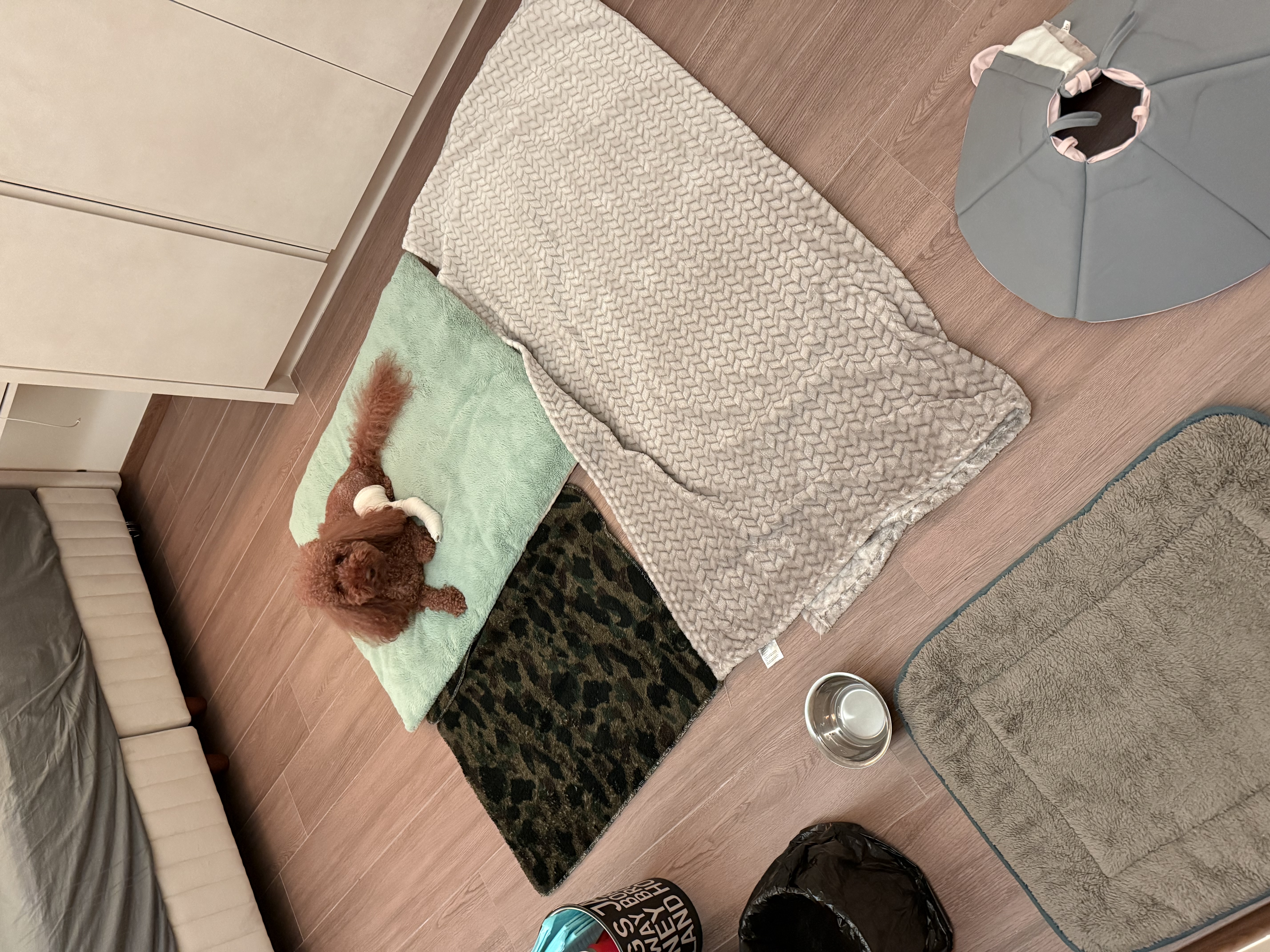 image-15